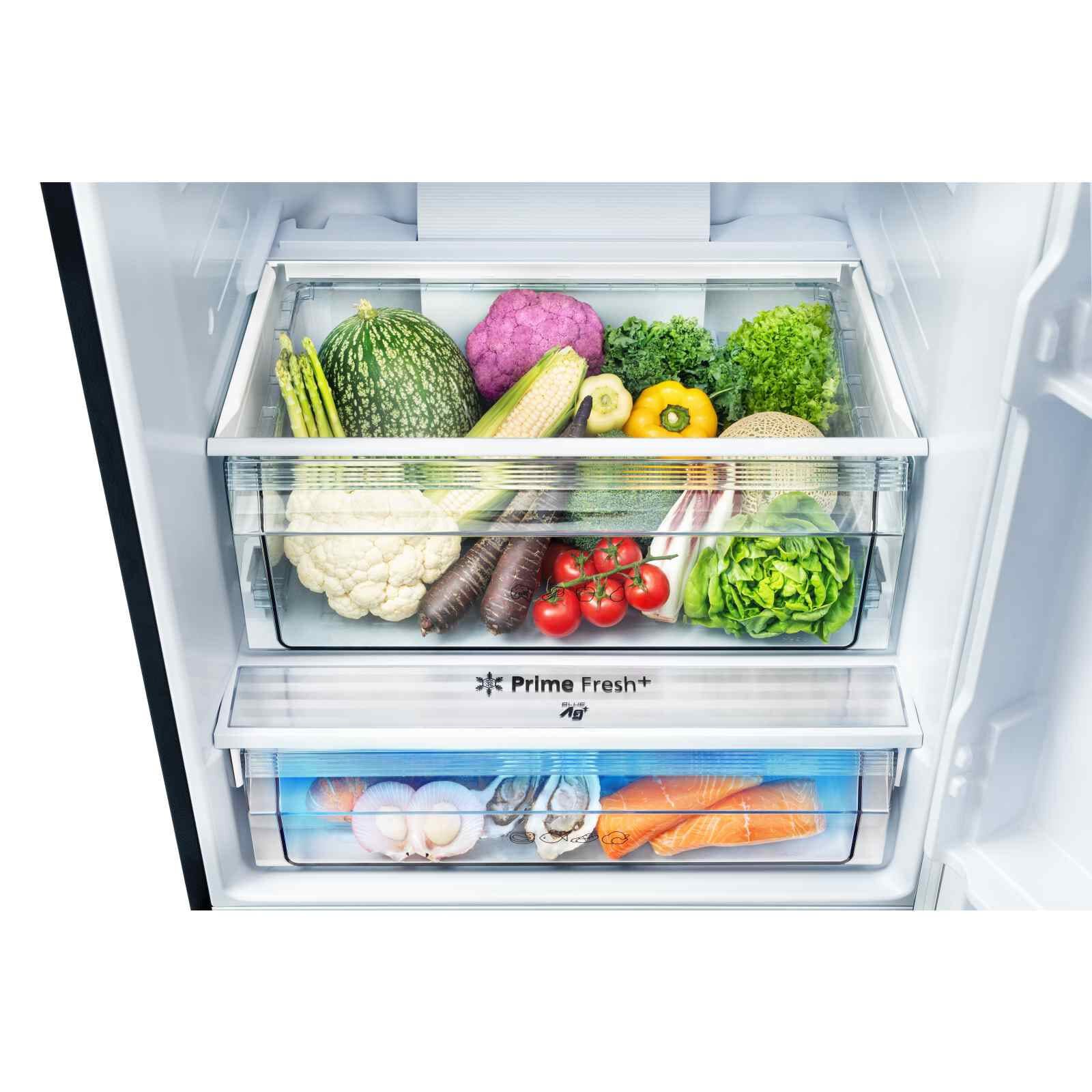 PANASONIC 2 Dr Fridge (405l) - Black NR-BX471WGKS-image 4