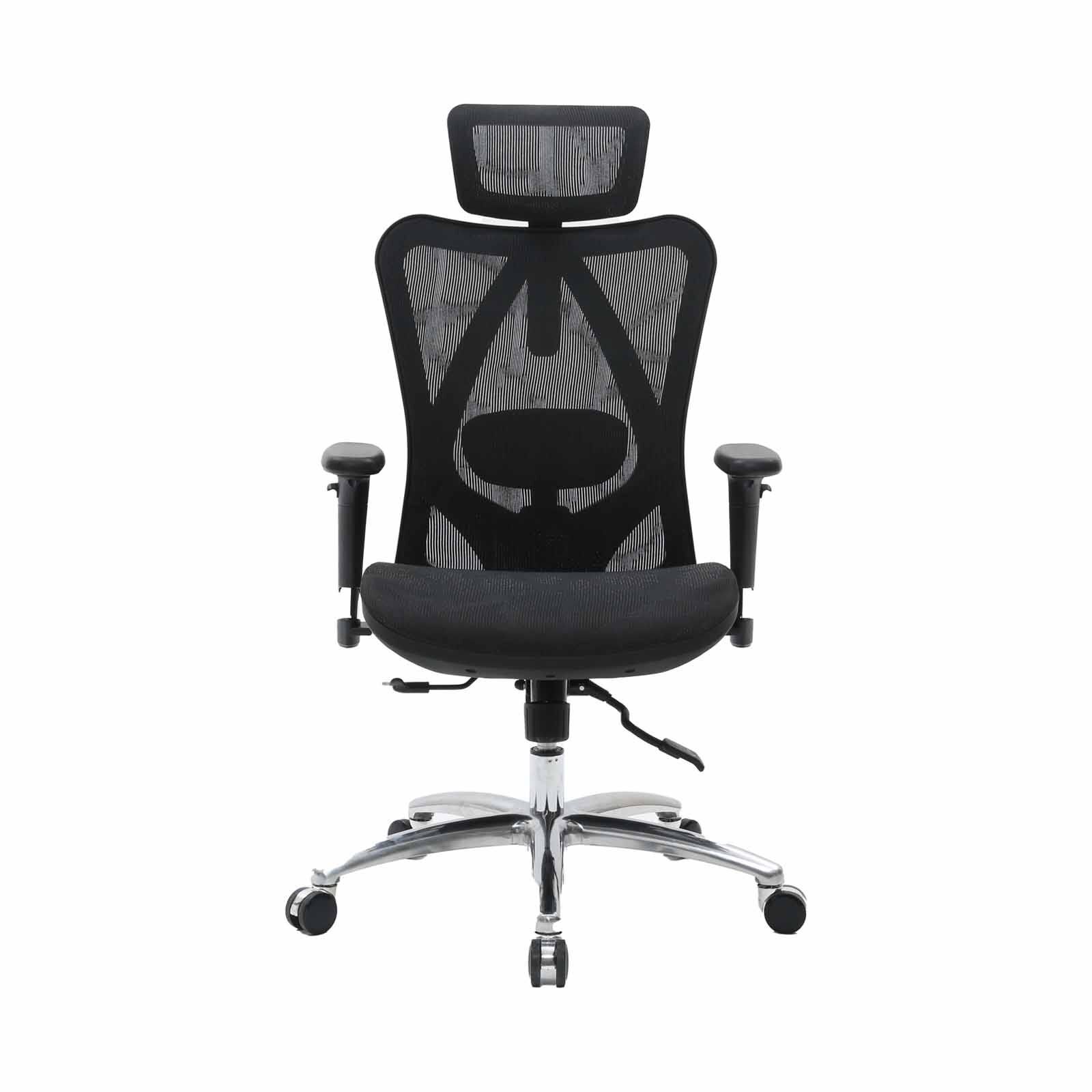 High Back Ergonomic Chair (black) CARL-image 1