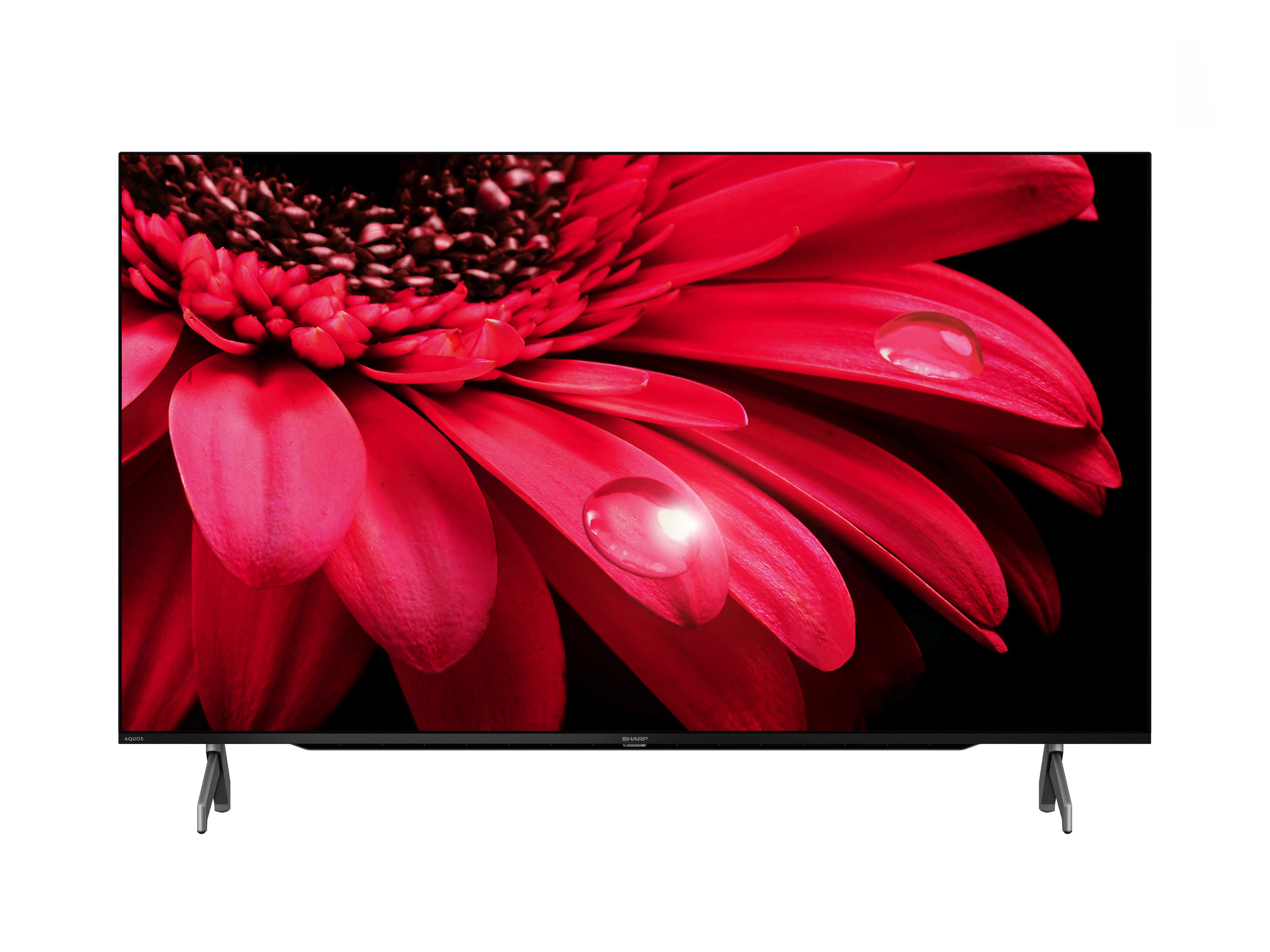 SHARP 55 In 4k Ultra Hd Led Tv 4T-C55FL1X-image 2