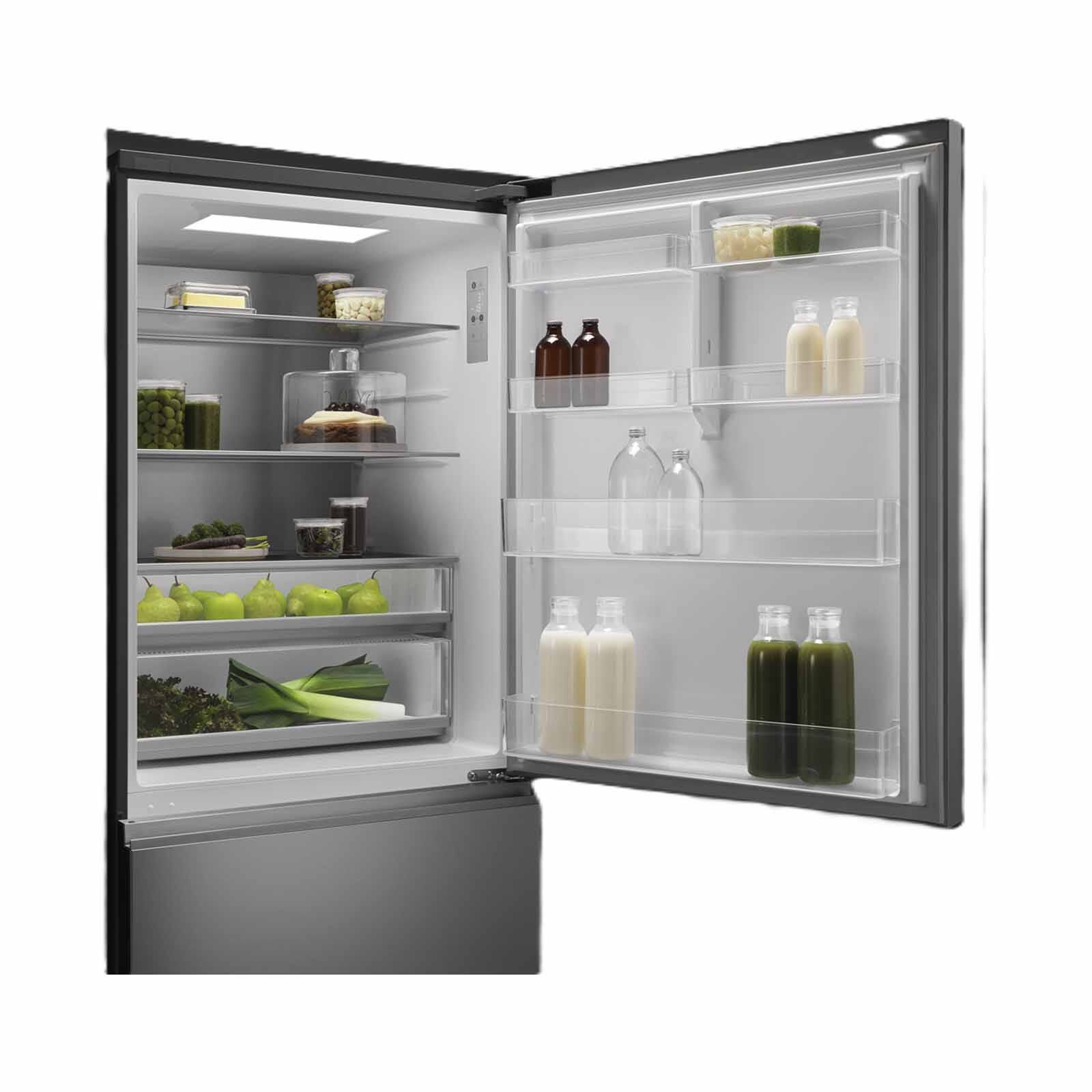 FISHER & P Bottom Mounted Fridge (515l) - Stainless Steel RF505BRNQX1-image 4