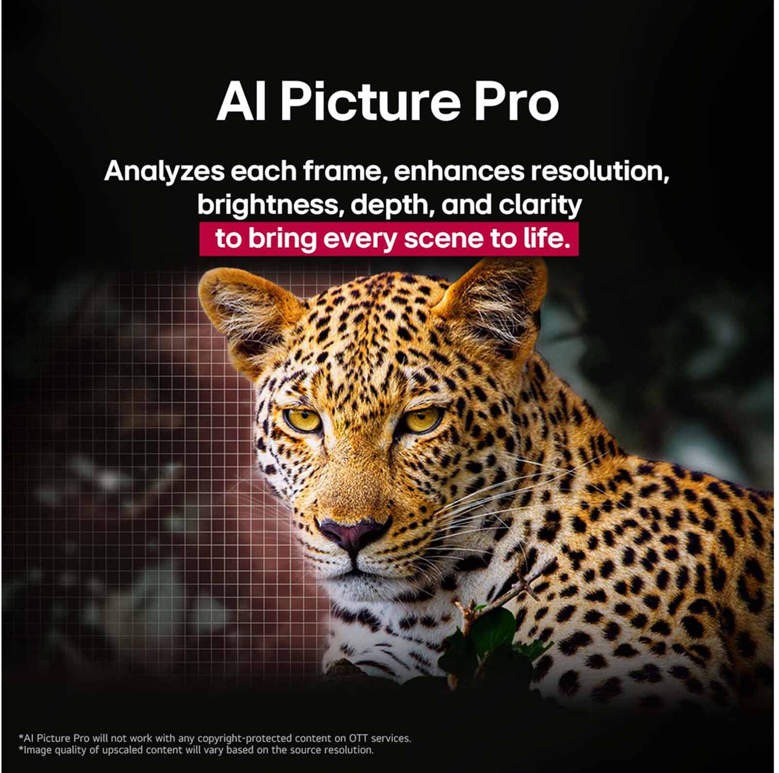 LG 65 In 4k Uhd Oled Tv OLED65G5PSA.ATC-image 7