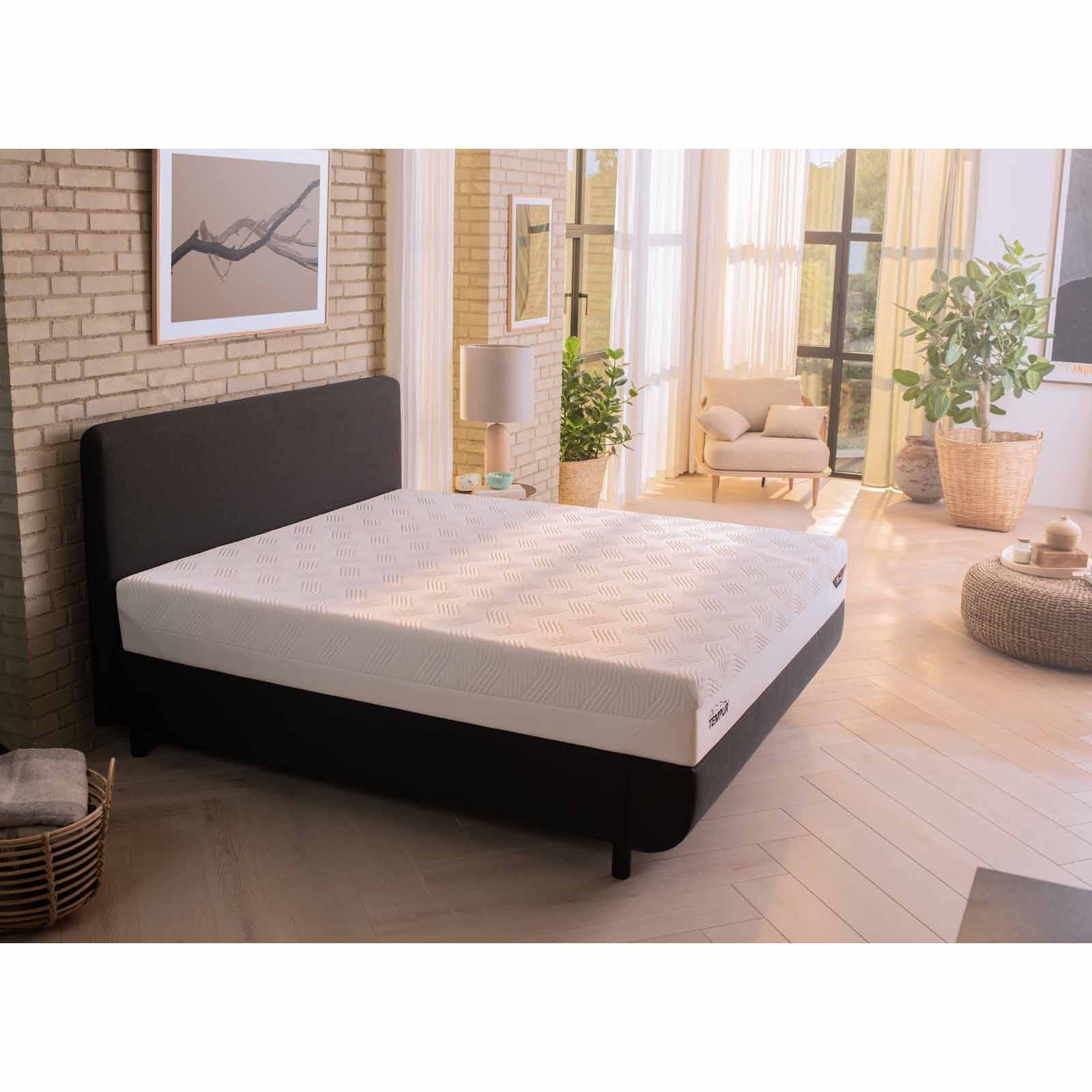 TEMPUR Bundle With Aspire Base Only PRIMA PLUS FIRM NSC (S/S)-image null