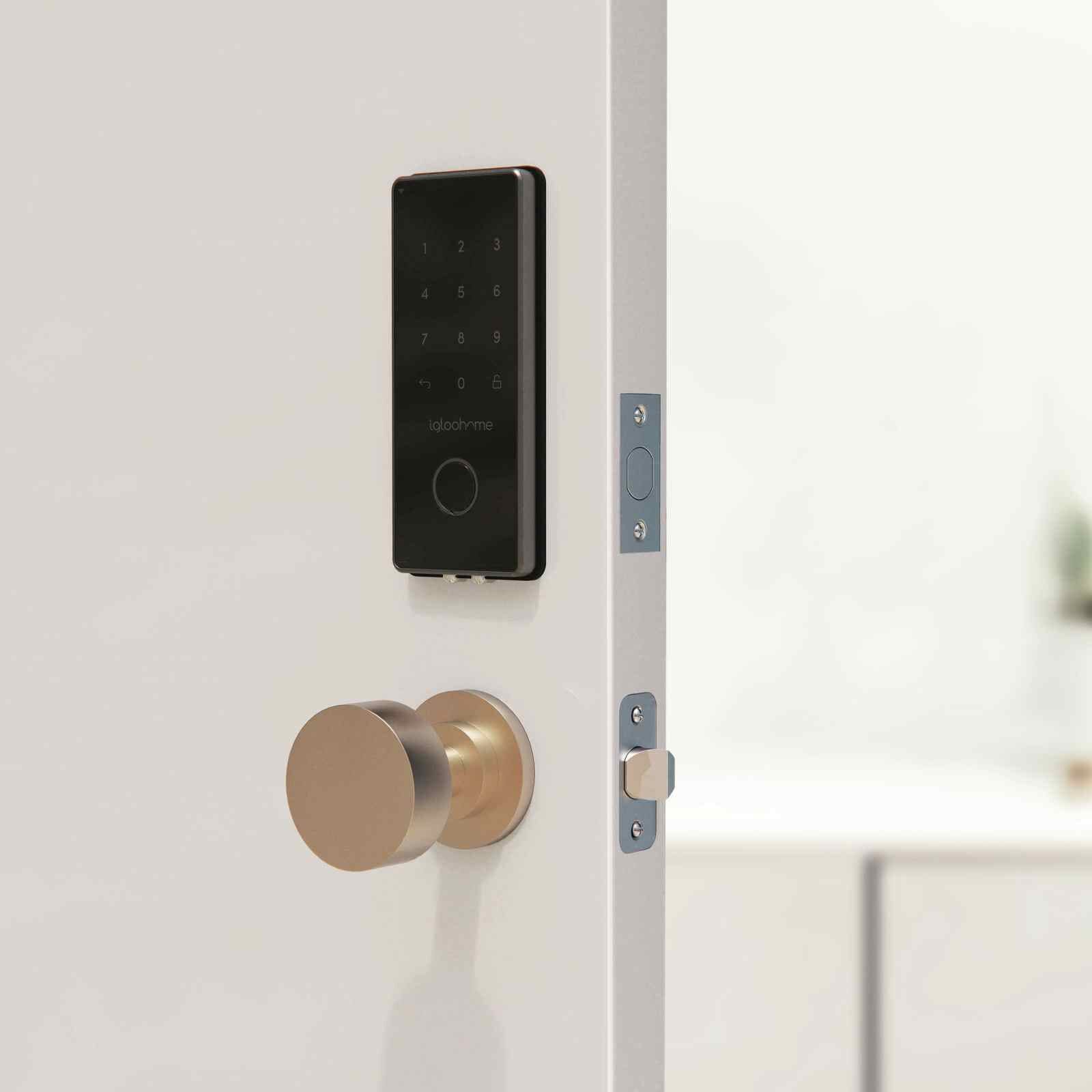 IGLOOHOME Gate & Door Combo 5 RM2F (GATE) + IGB4 (SMART DEADBOLT 2S)-image 13