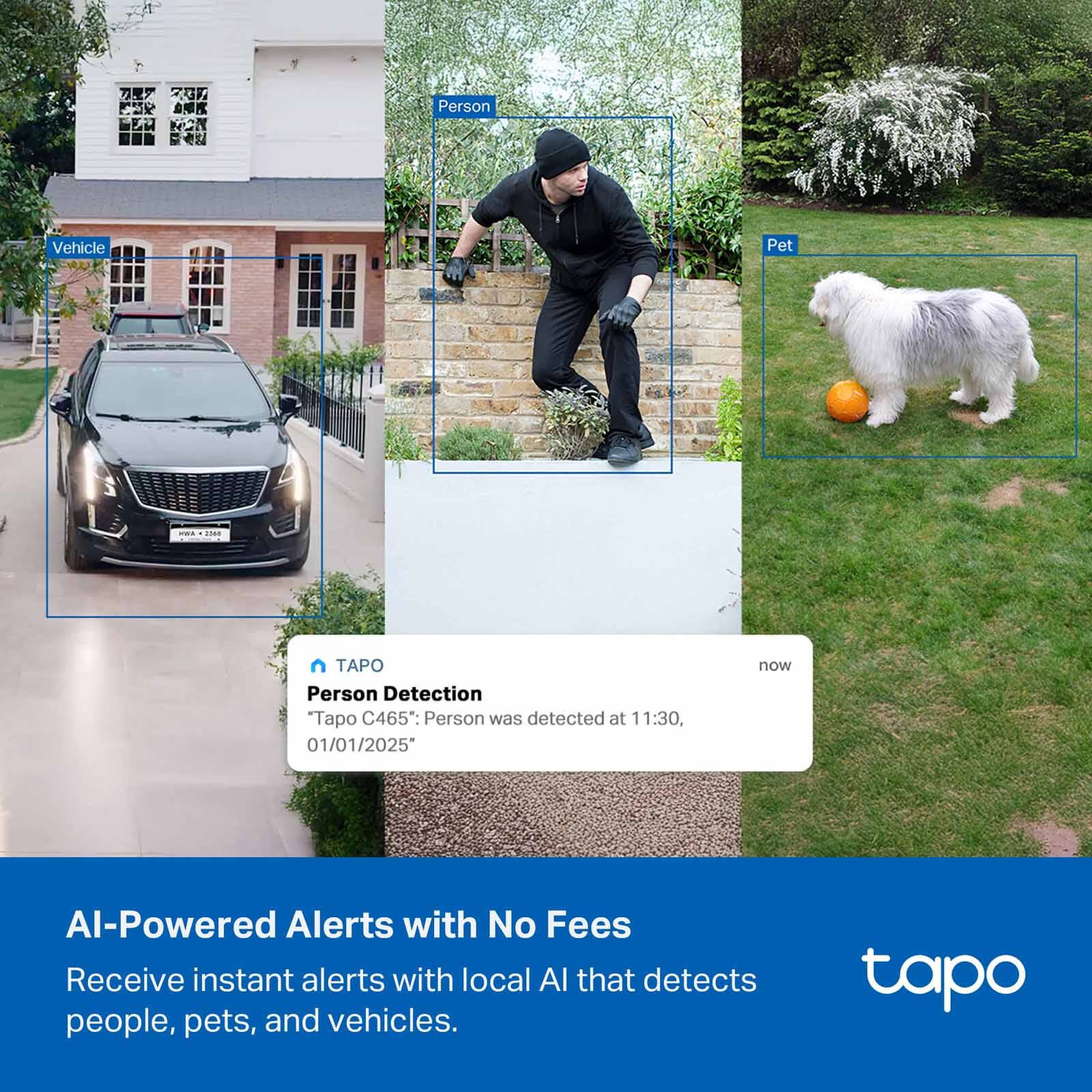 TP LINK Tapo Enhanced Ai Solar Security Camera Ultra TAPO C465-image 6