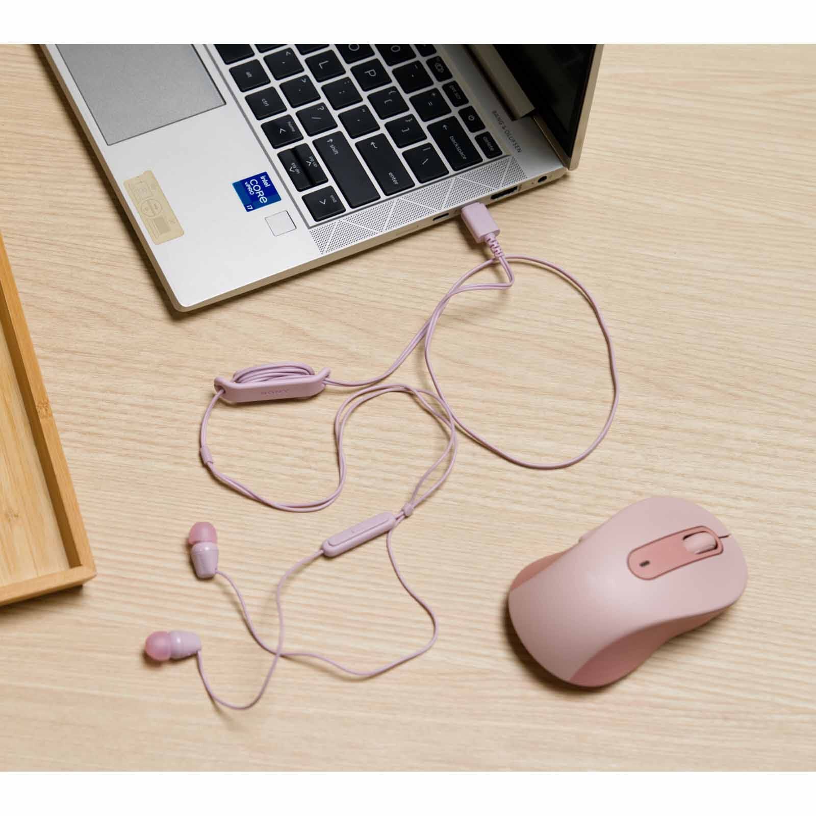 SONY Usb-c Wired In-ear Headphone (pink) IER-EX15C/PZE-image 2