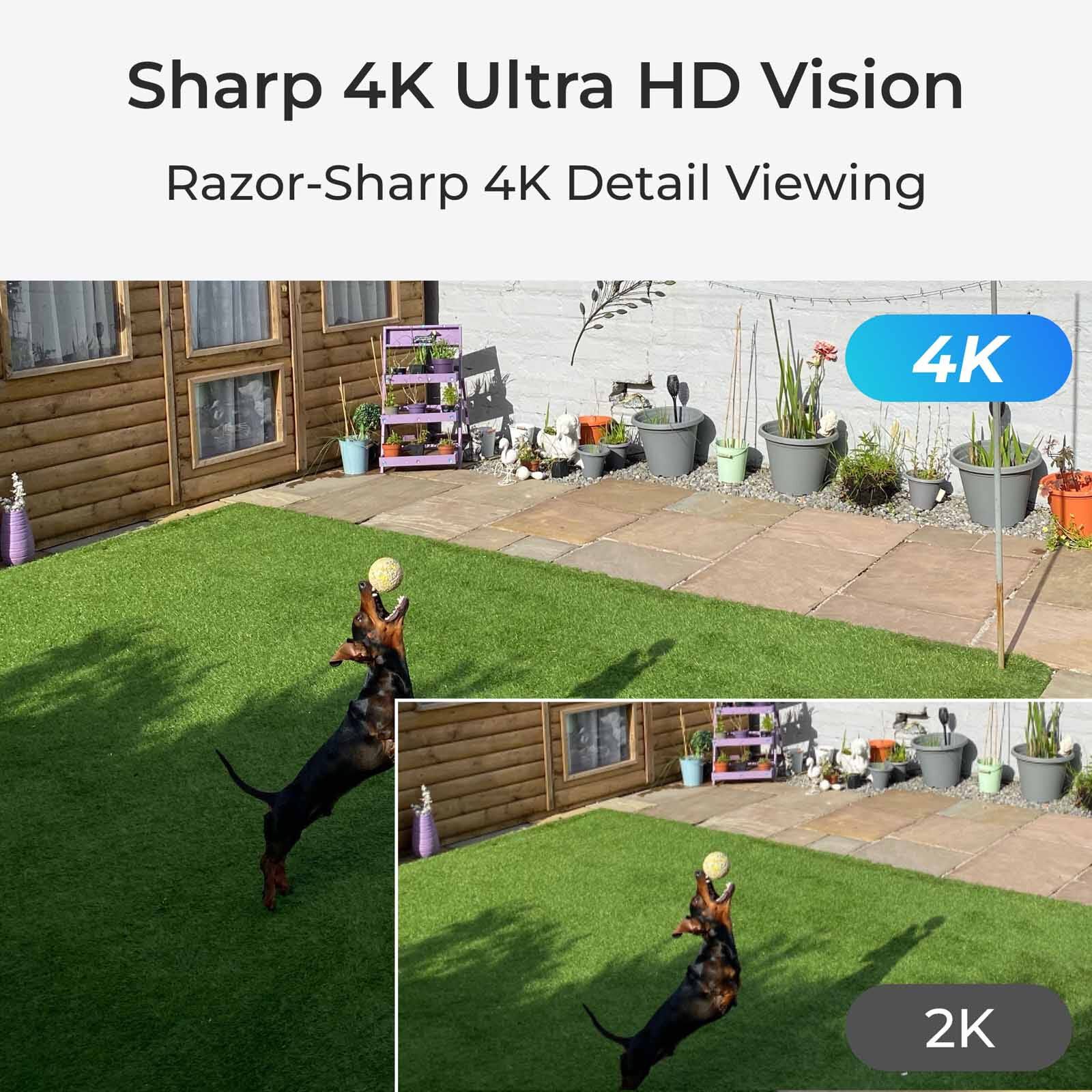 REOLINK Reolink Argus Pt Ultra, 4k Security Camera, Wireless Outdoor Camera, 360&deg; Pan & Tilt Surveillance BWPT4K04-image 3