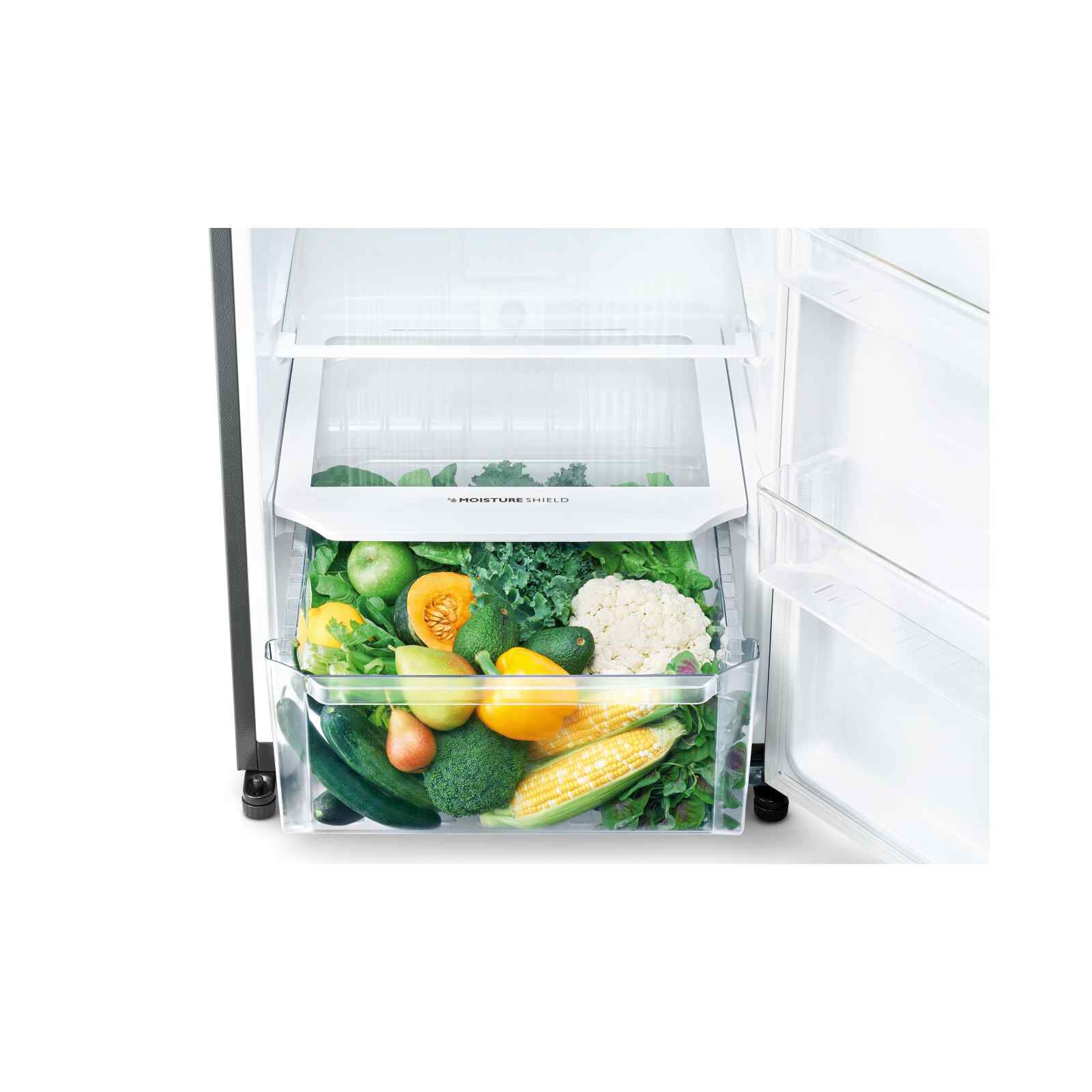 SHARP 2 Dr Fridge (360l) SJ-RF36E-DS-image 4