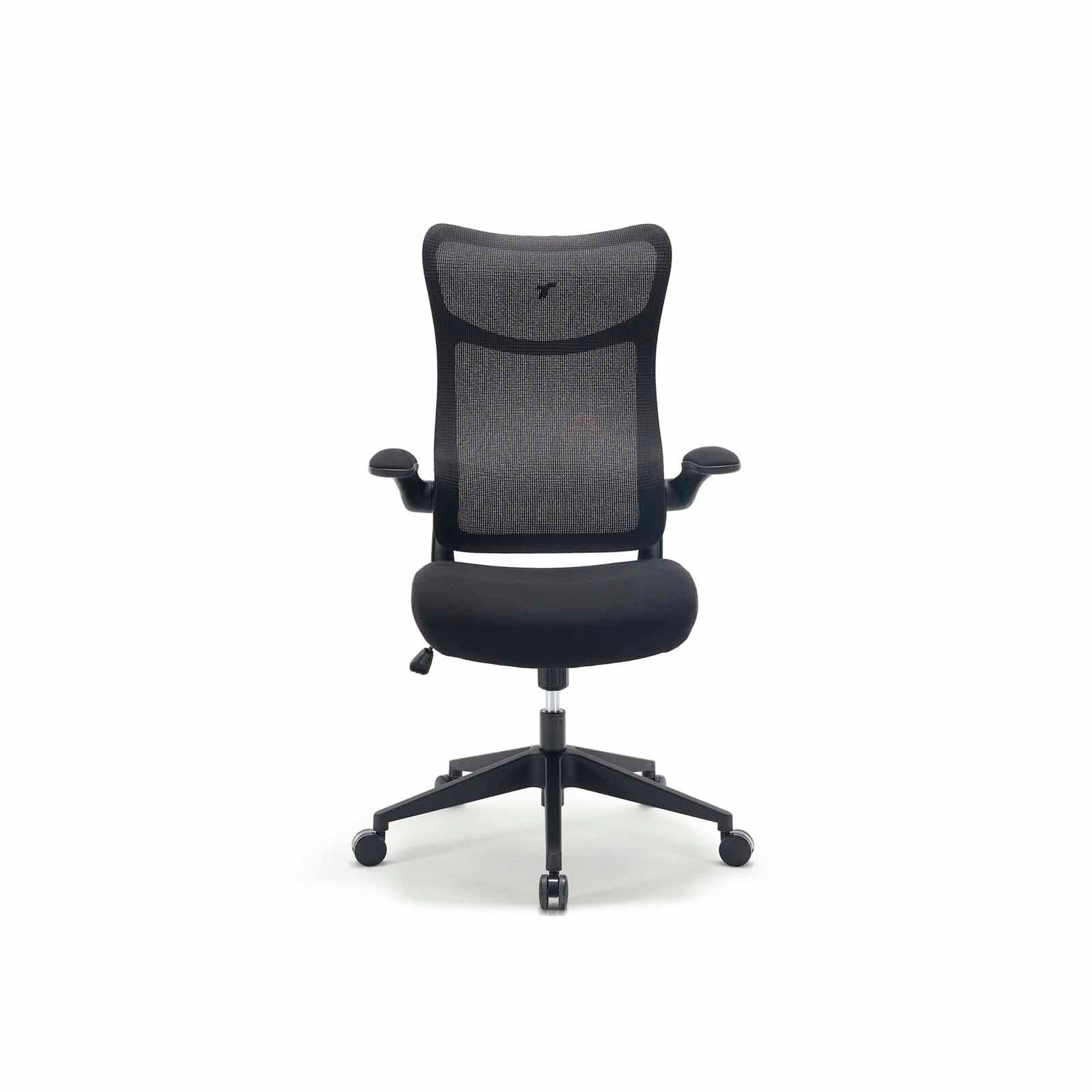 TTRACING Tt Airflex V2 Ergochair - Graphite Black TTAFLXV2-001-image 1