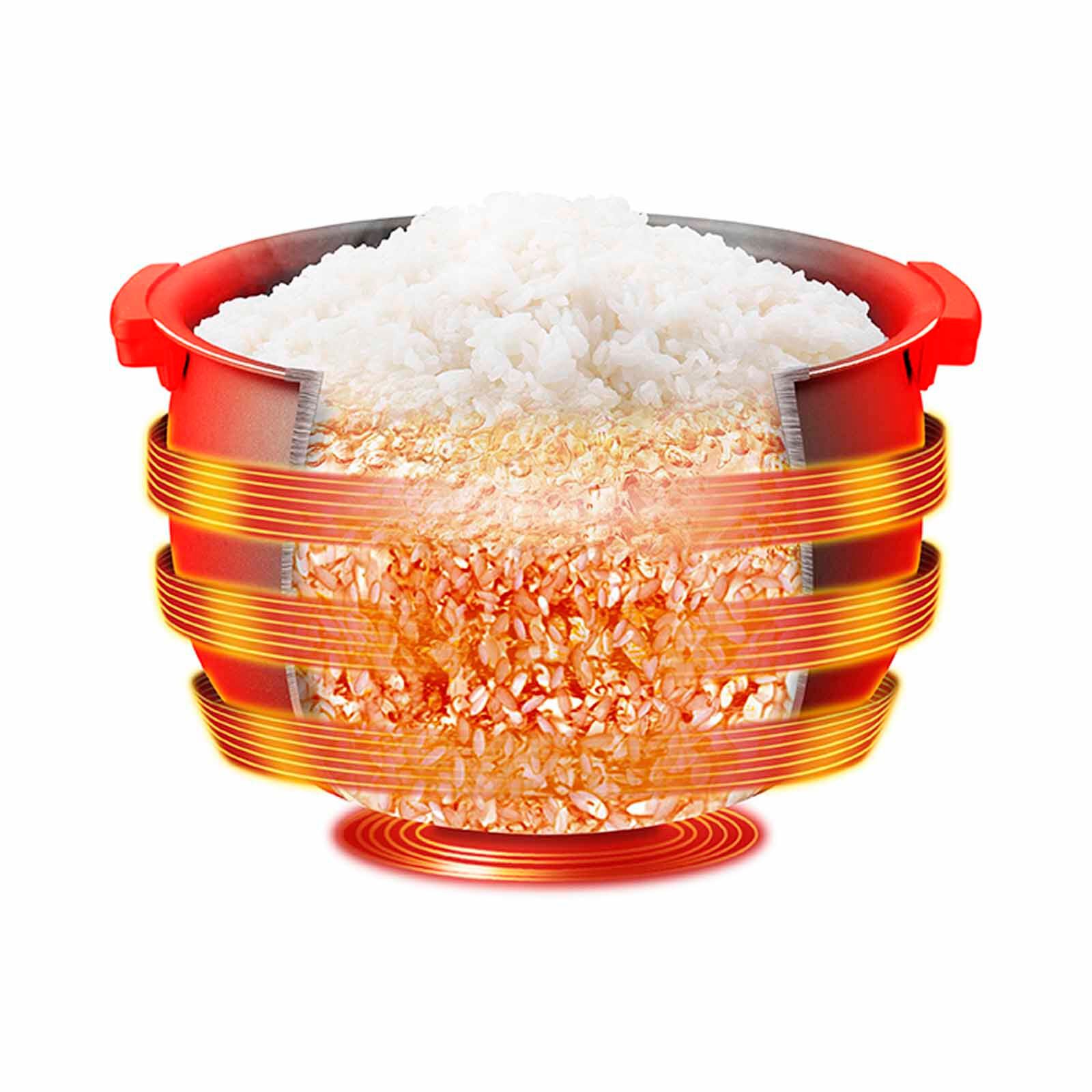 TIGER 1.0l Induction Heating Rice Cooker JKT-D10S-image 4