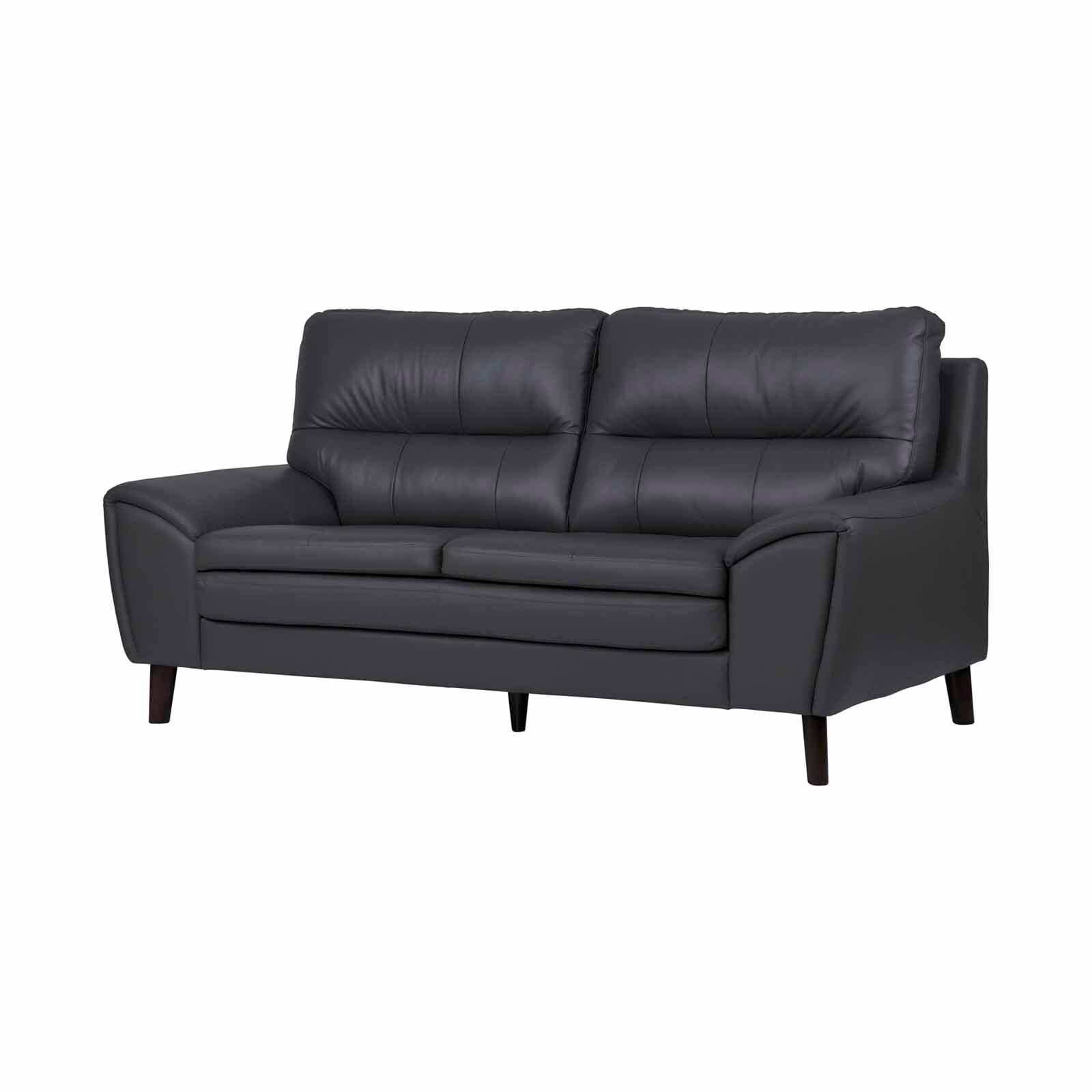 SOLOTTI 3 Seater (hl) Charcoal Half Leather Sofa CARLOTTA-image 2