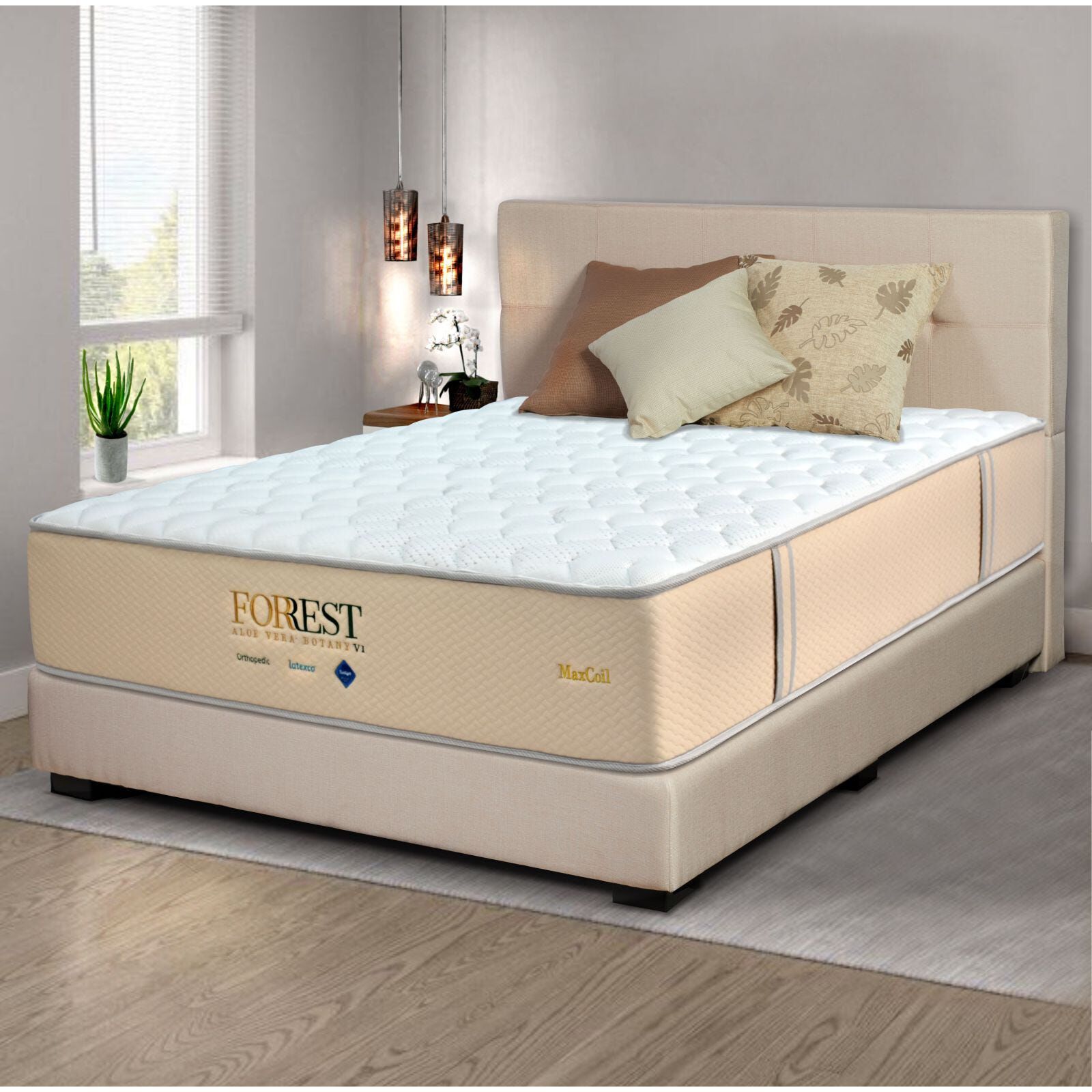 MAXCOIL Single Size Mattress ALOE VERA BOTANY 6-image null