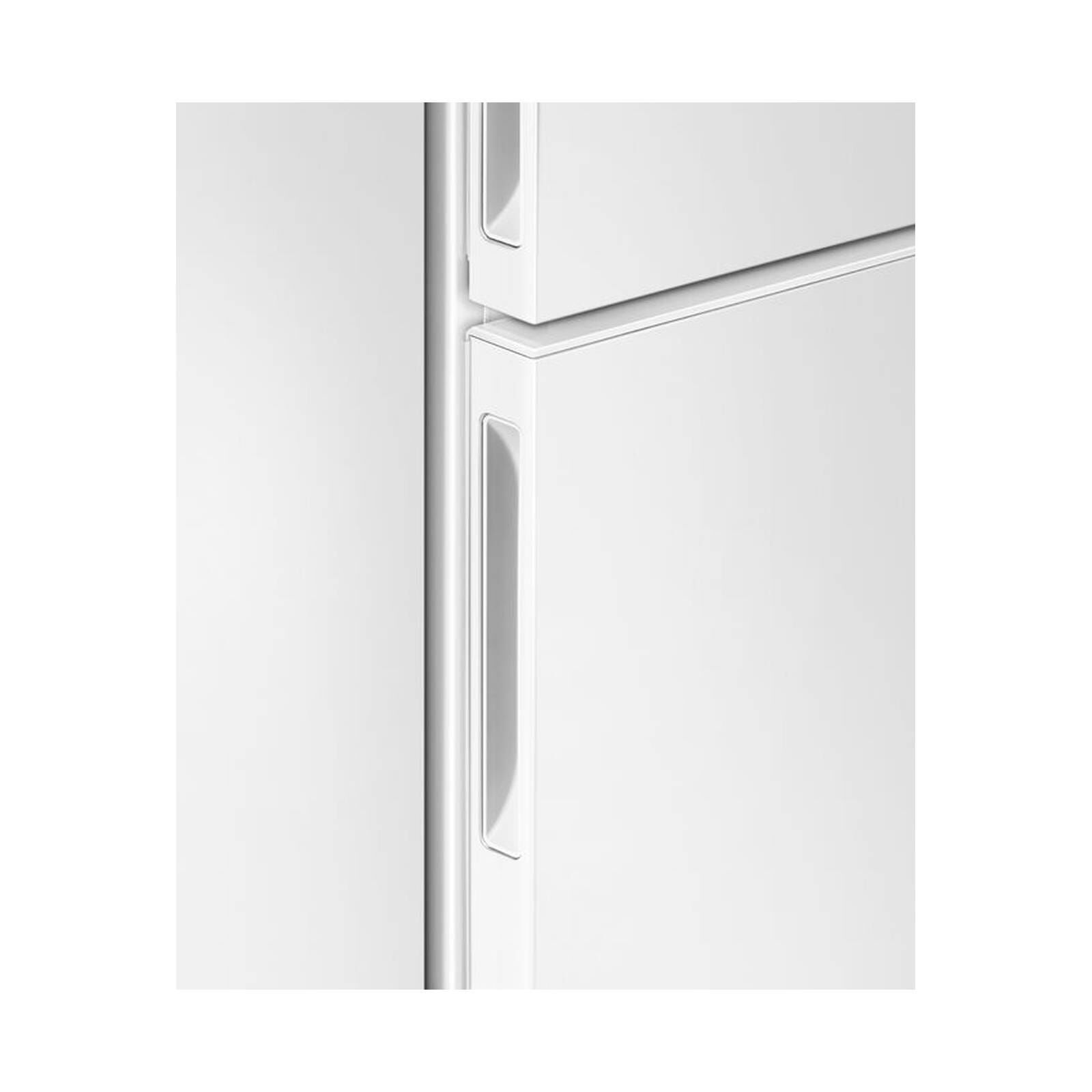 FISHER & P 2 Door Fridge (463l) RF522BRPW6-image 3