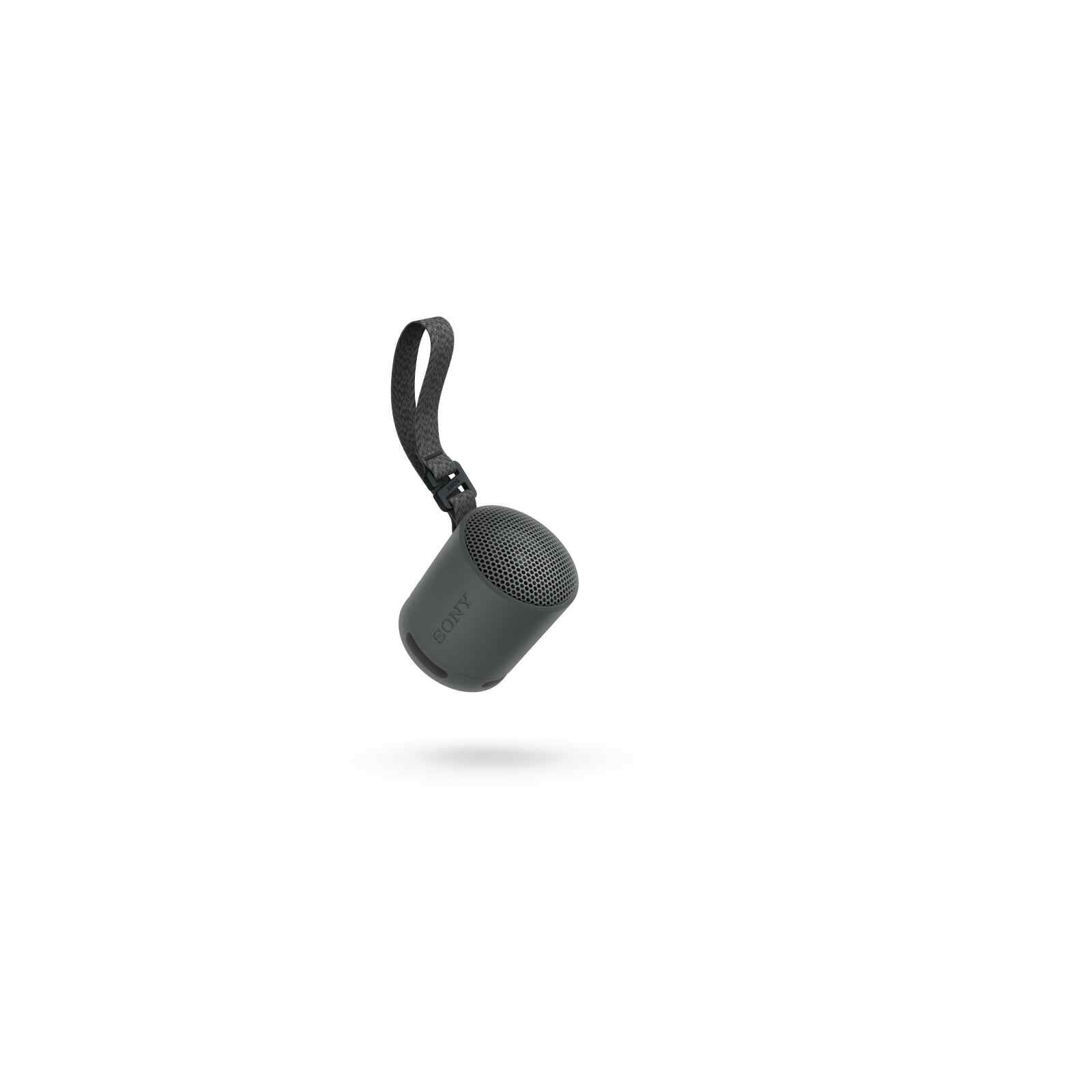 SONY Wireless Speaker (black) SRS-XB100/BCE-image 2
