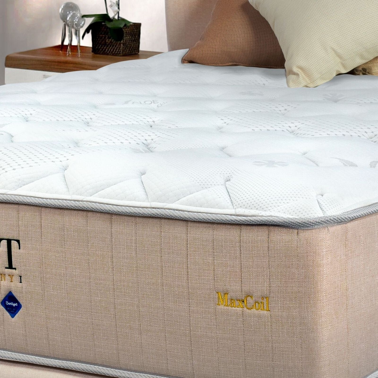 MAXCOIL Single Size Mattress ALOE VERA BOTANY 1-image null