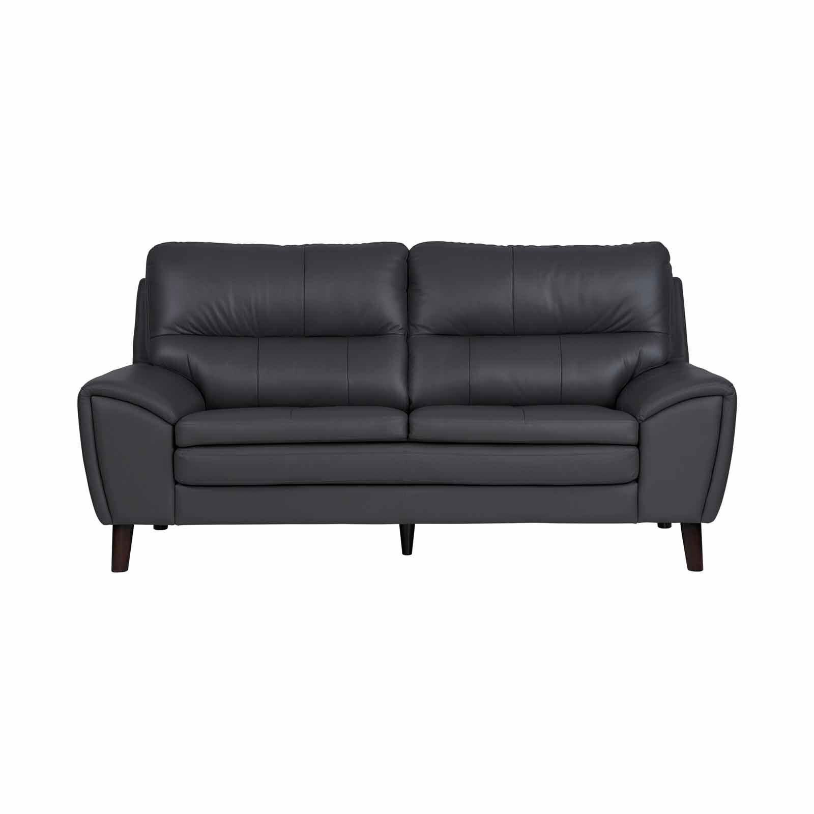 SOLOTTI 3 Seater (hl) Charcoal Half Leather Sofa CARLOTTA-image 1