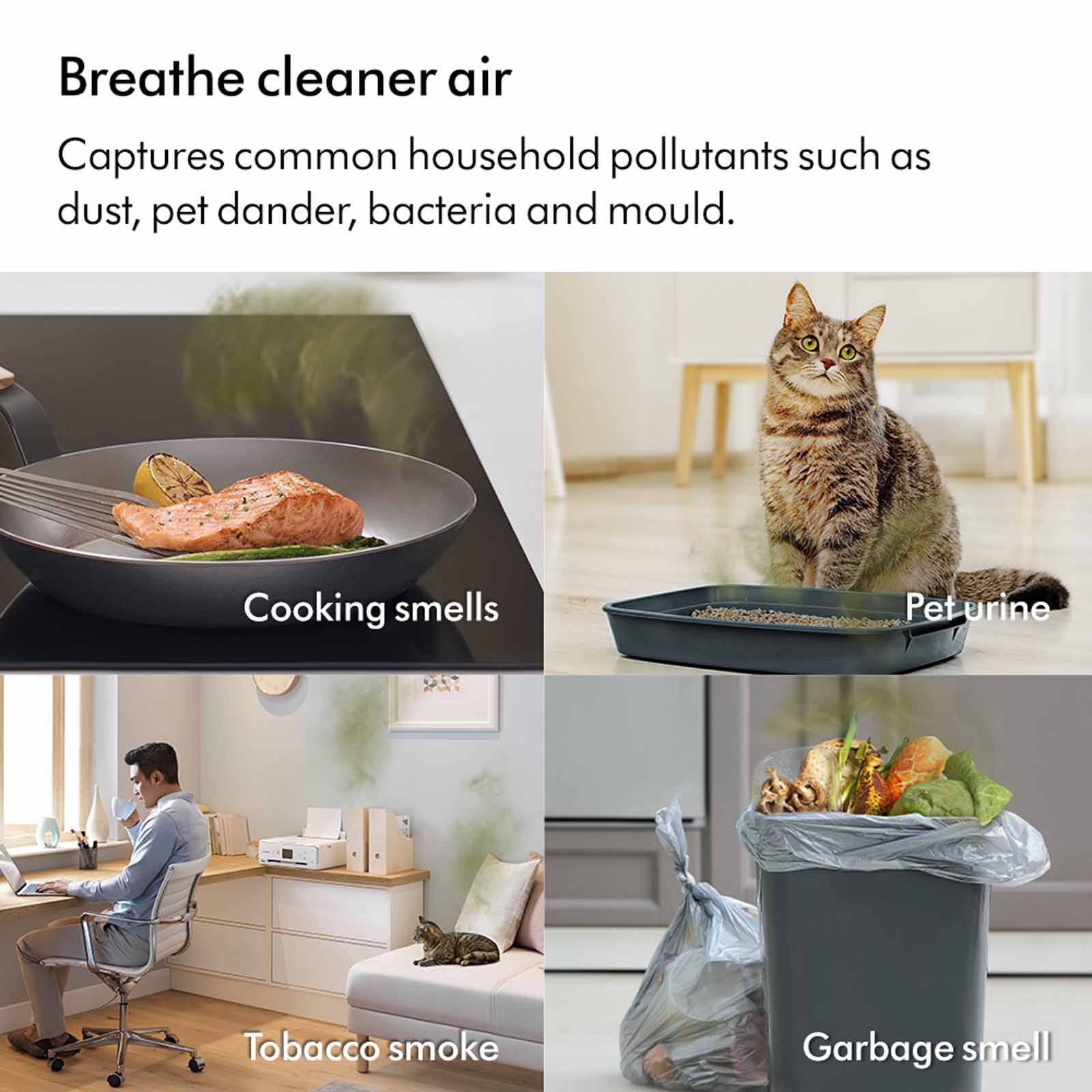 DYSON Air Purifier Tower Fan TP11 SG BK/NK-image 4