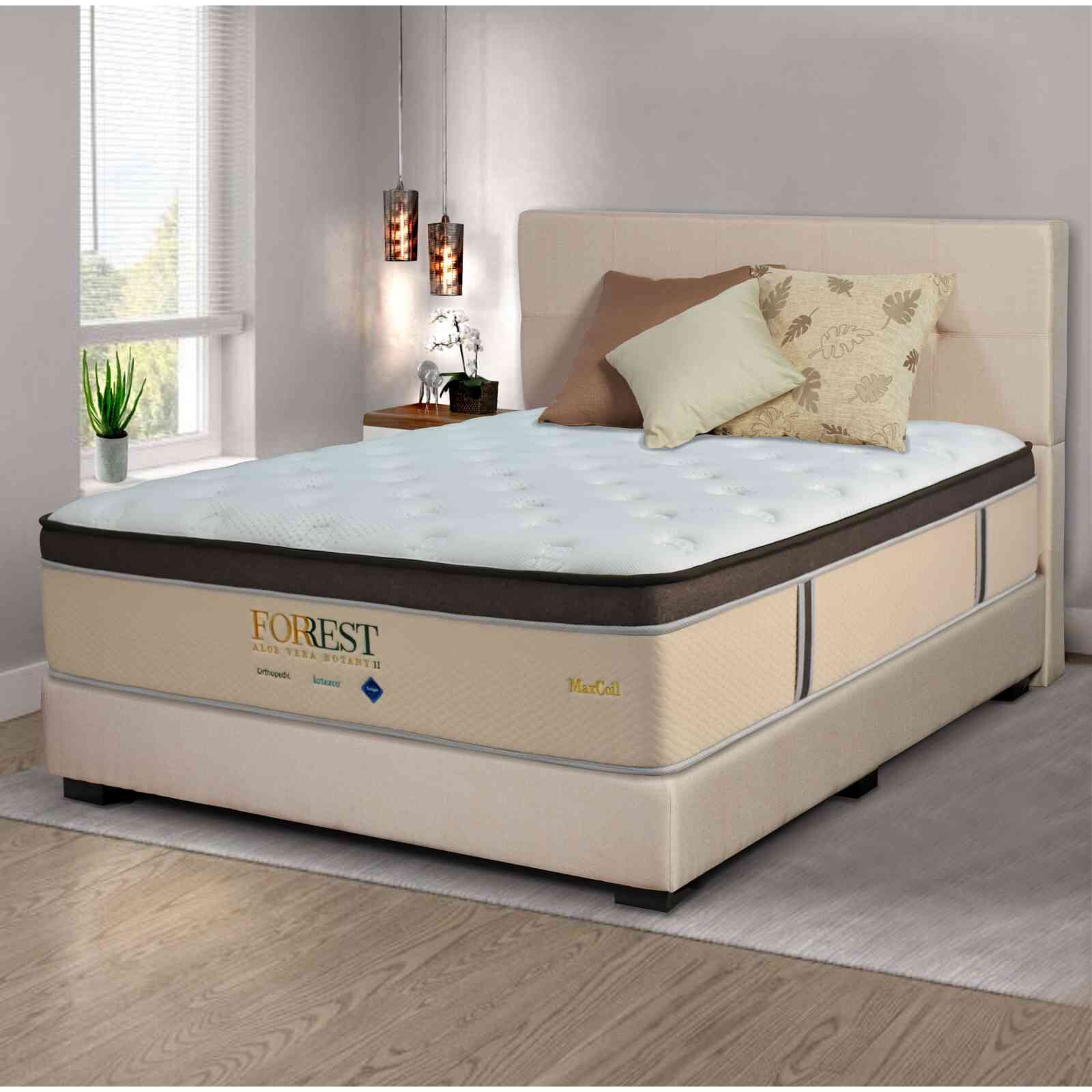 MAXCOIL King Size Mattress ALOE VERA BOTANY 2-image null