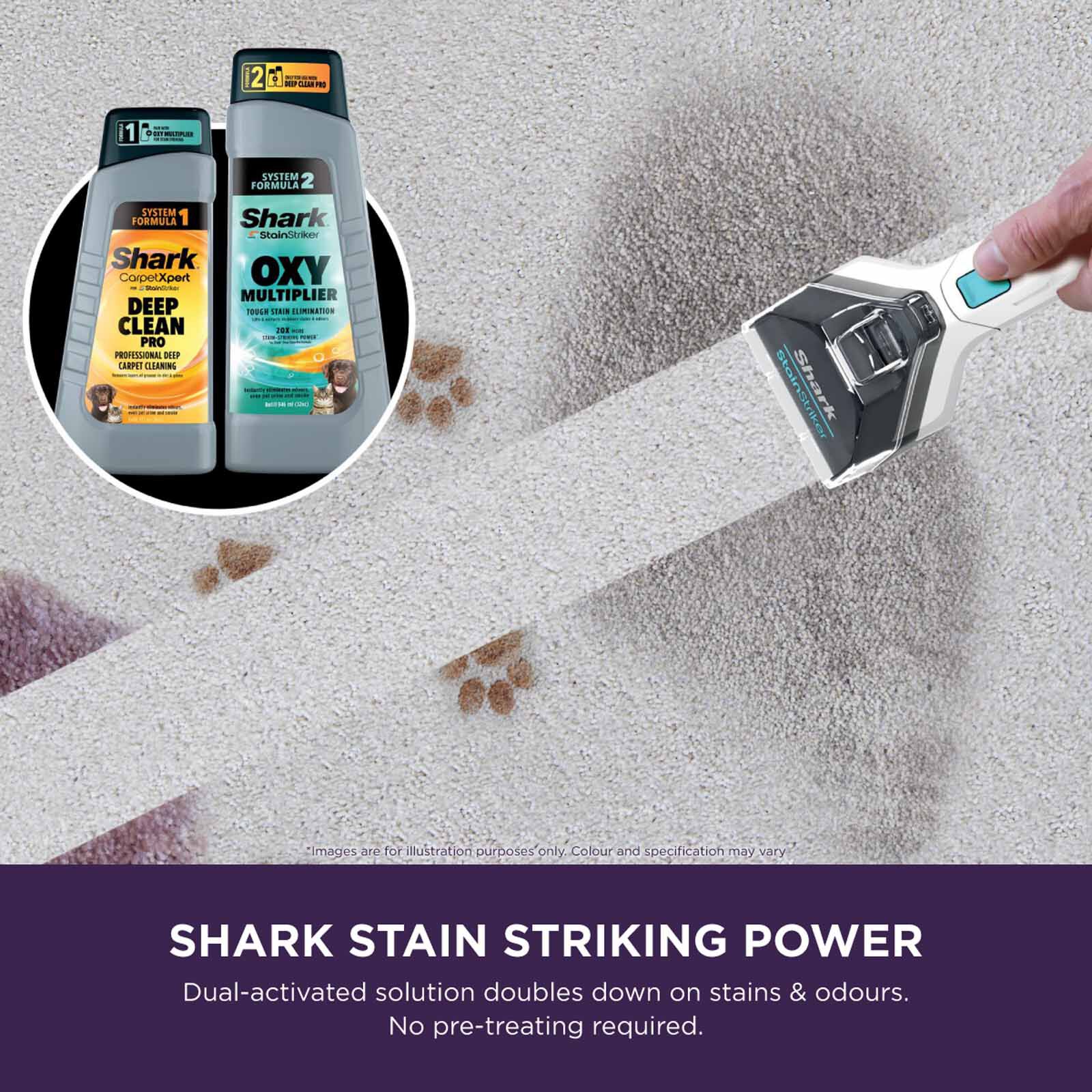 SHARK Stainstriker Pet Stain & Spot Cleaner PX200SMT-image 7