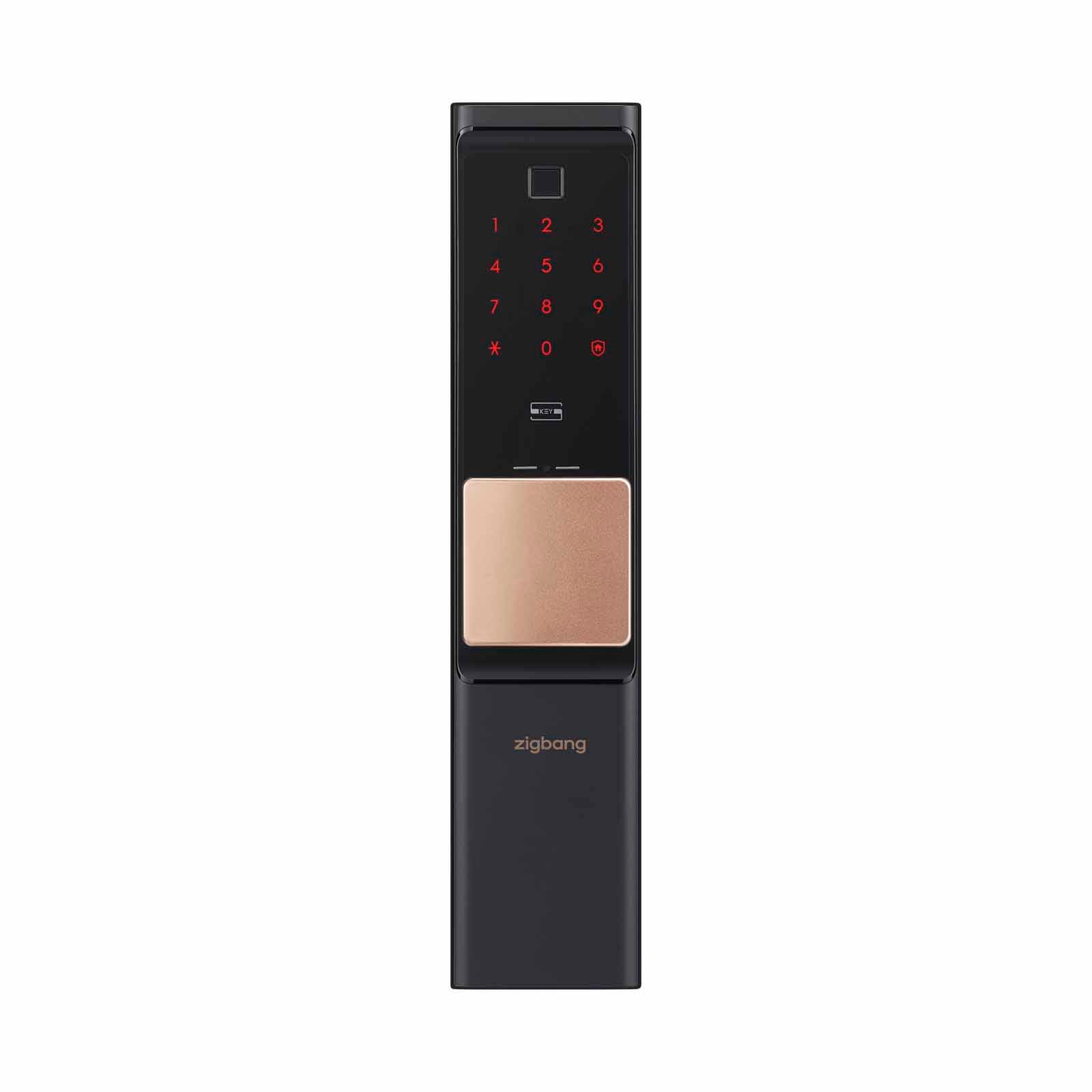 ZIGBANG Shp-r80 - Gold SHP-R80 - GOLD-image 1