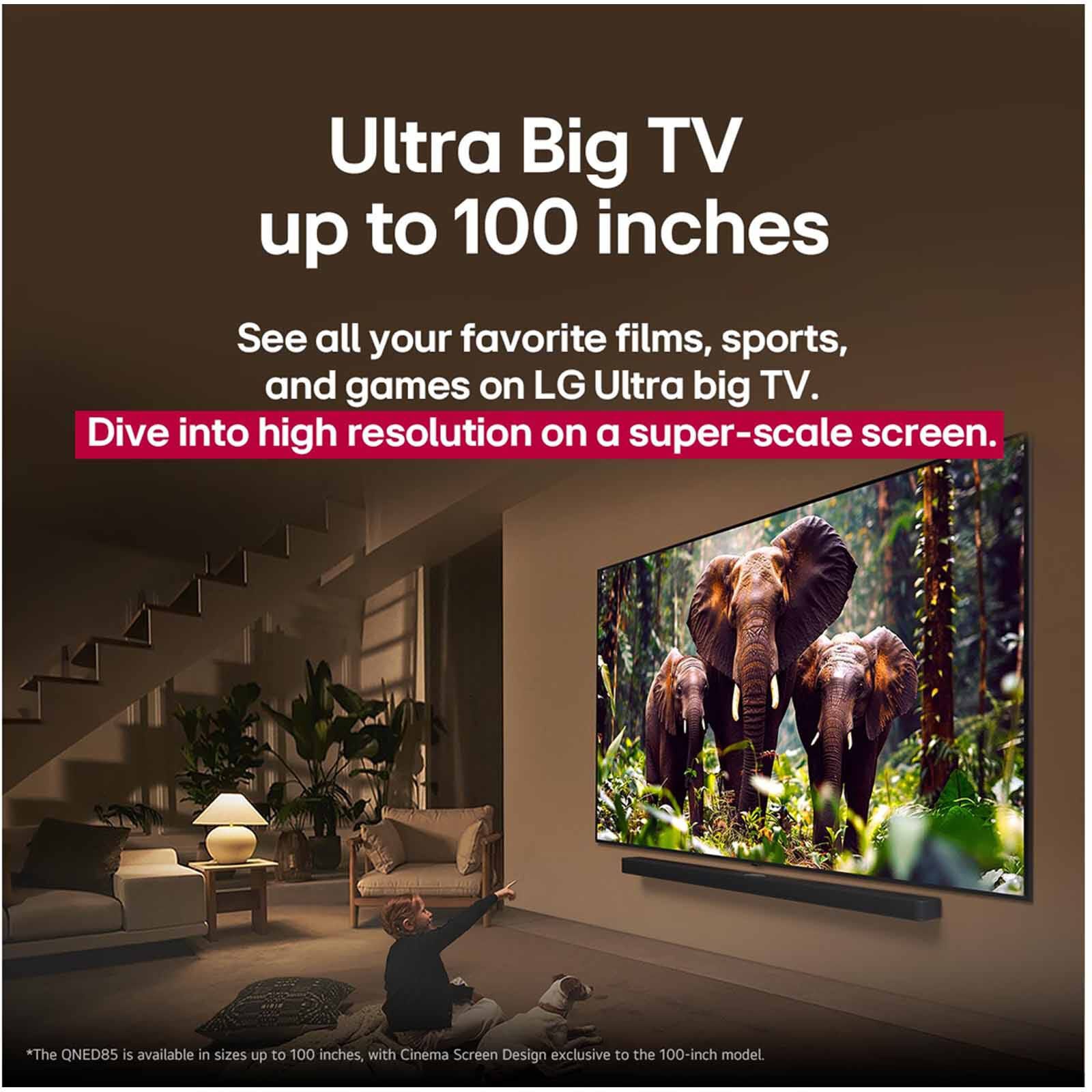LG 65 In 4k Qned Smart Tv 65QNED86ASA.ATC-image 14
