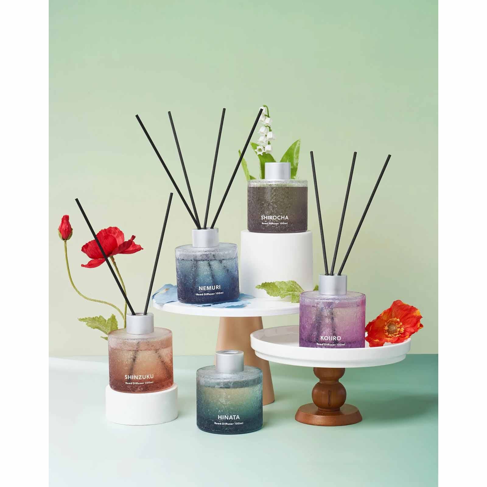EPITEX Scento Reed 100ml Diffuser - Hinata FR735-2-image 2