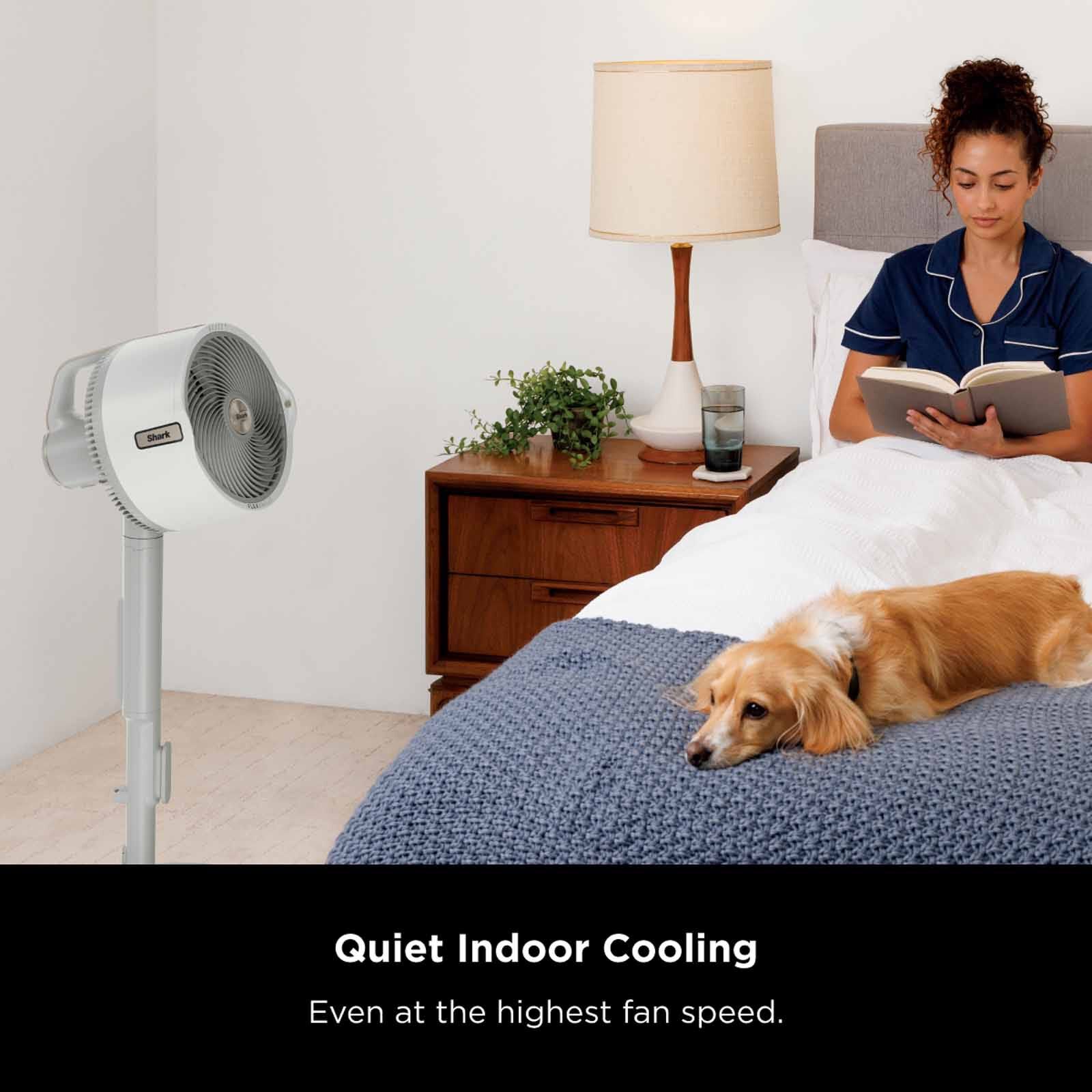 SHARK Flexbreeze Pro Mist Indoor & Outdoor Fan With Water Tank (charcoal) FA300SM-image 8