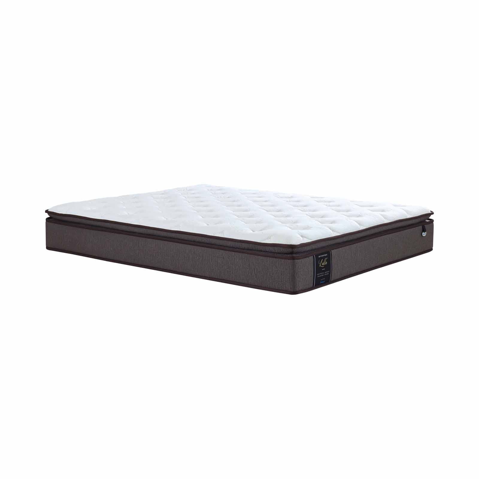 MAXCOIL Queen Size Mattress + Bedframe LATTE-image 2