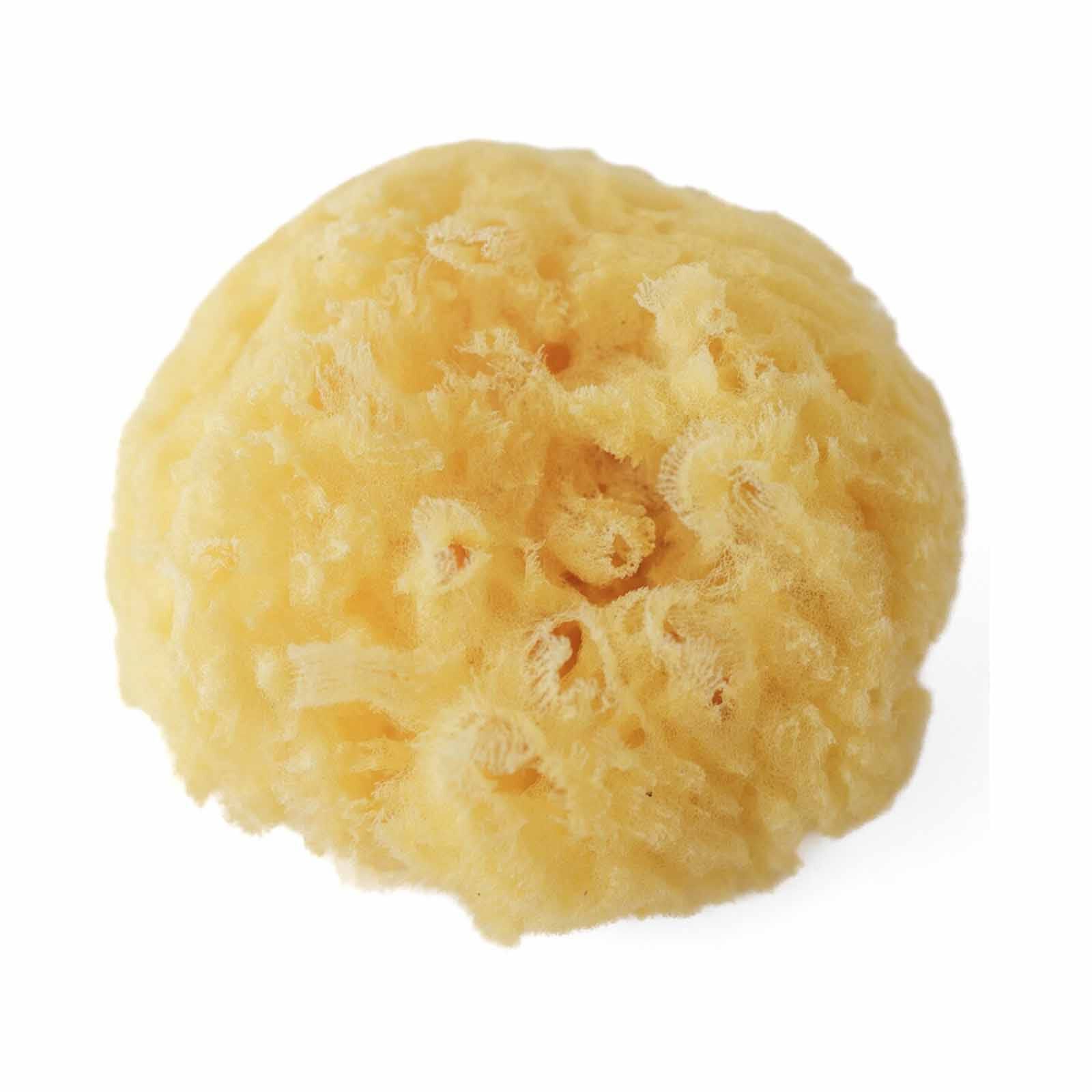 SNAPKIS NATURAL GREEK BATH SPONGE-image 4