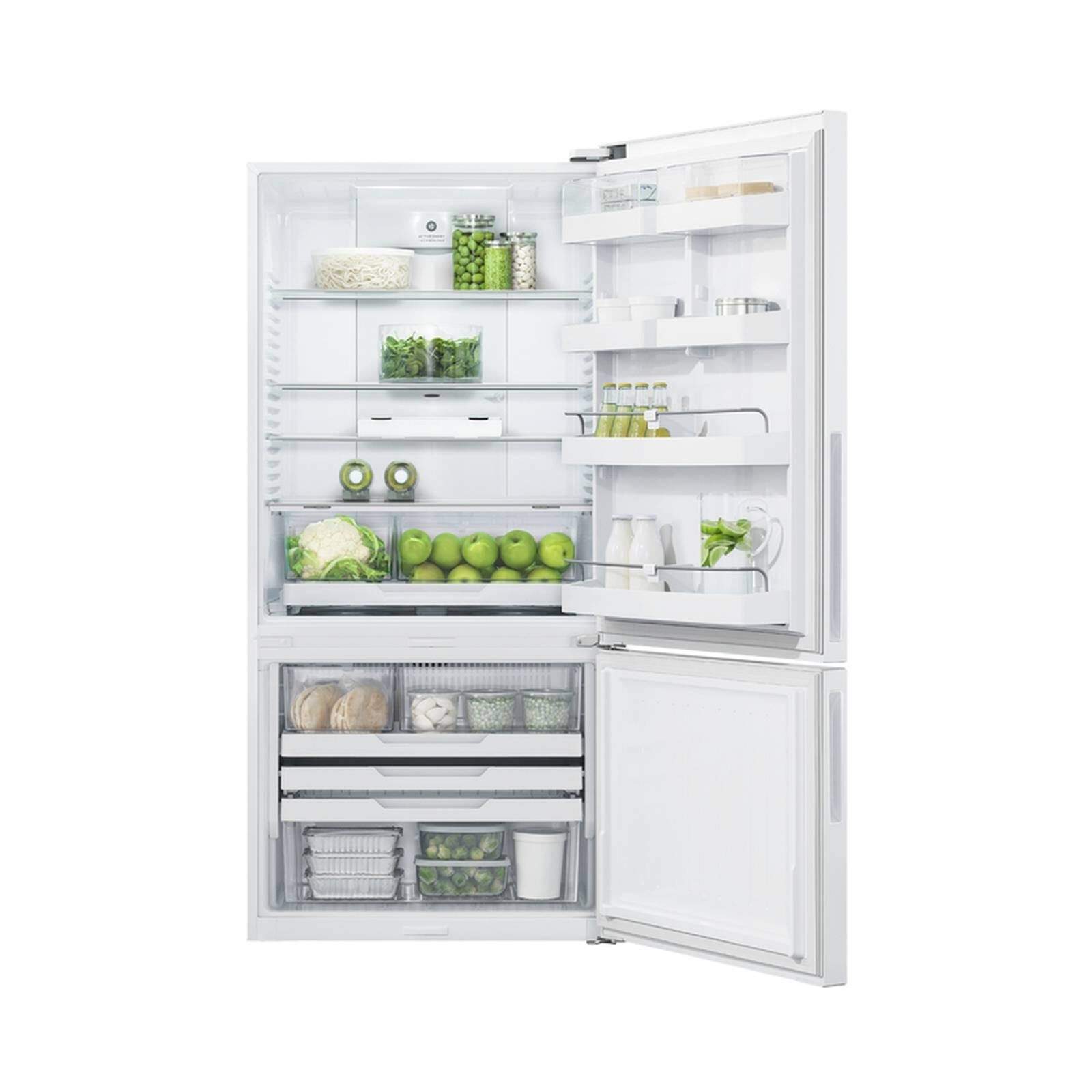FISHER & P 2 Door Fridge (463l) RF522BRPW6-image 2