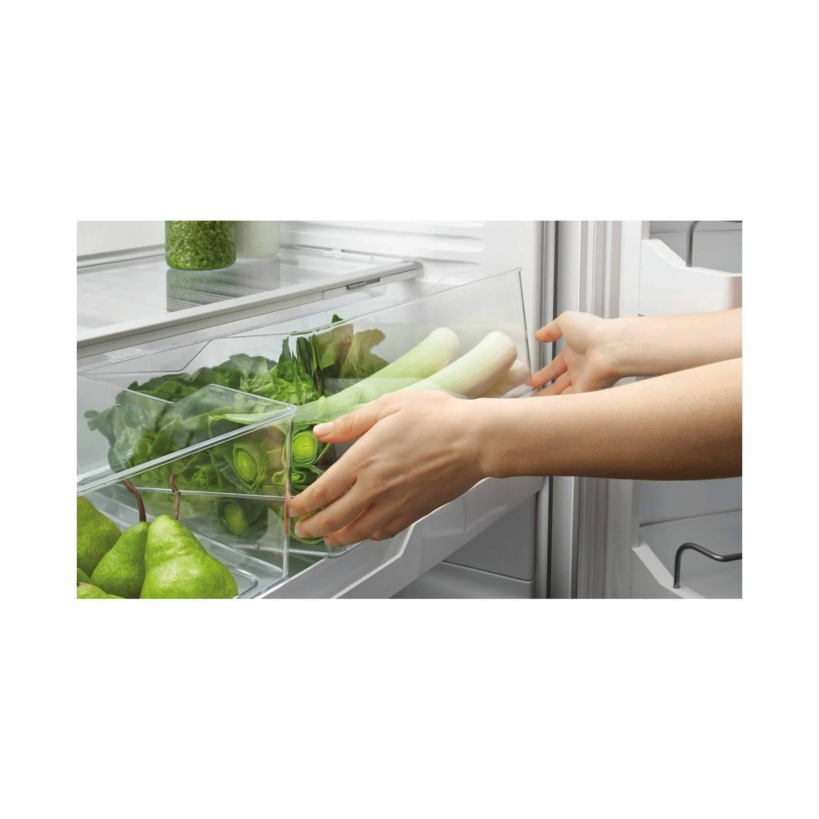 FISHER & P 2 Dr Fridge (net 463l) RF522BRPX6-image 7