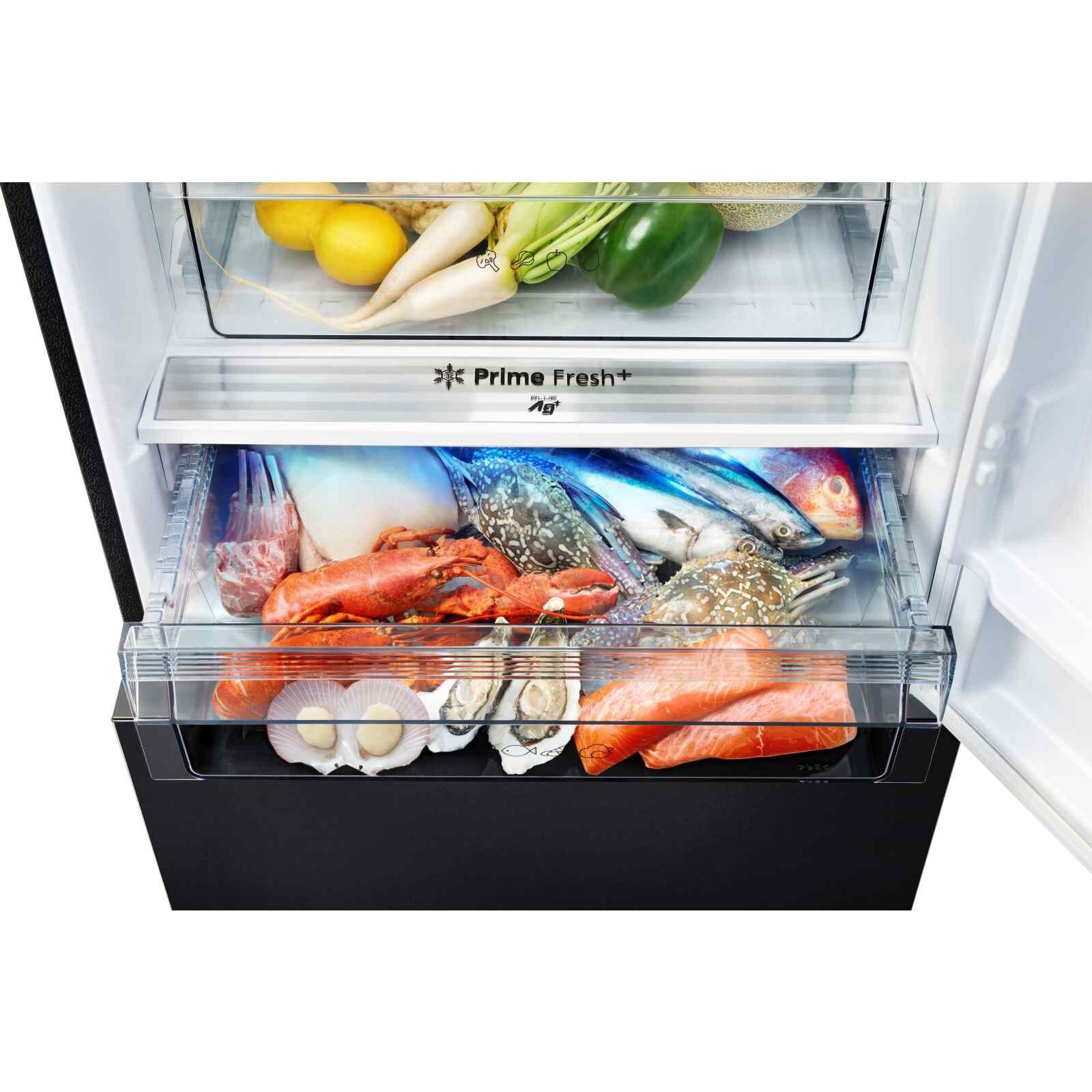 PANASONIC 2 Dr Fridge (405l) - Black NR-BX471WGKS-image 3