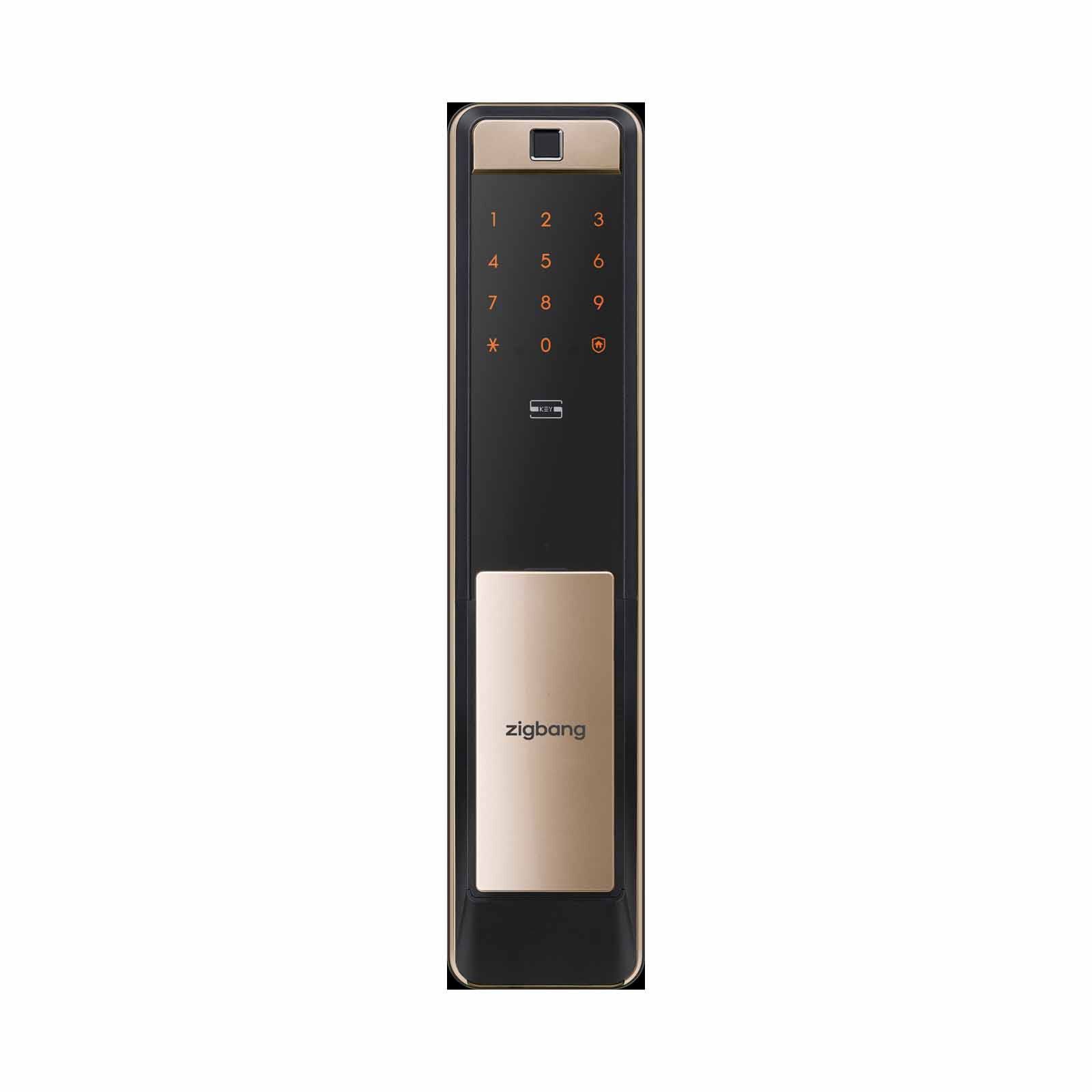 ZIGBANG Shp-p72 - Gold SHP-P72 - GOLD-image 1