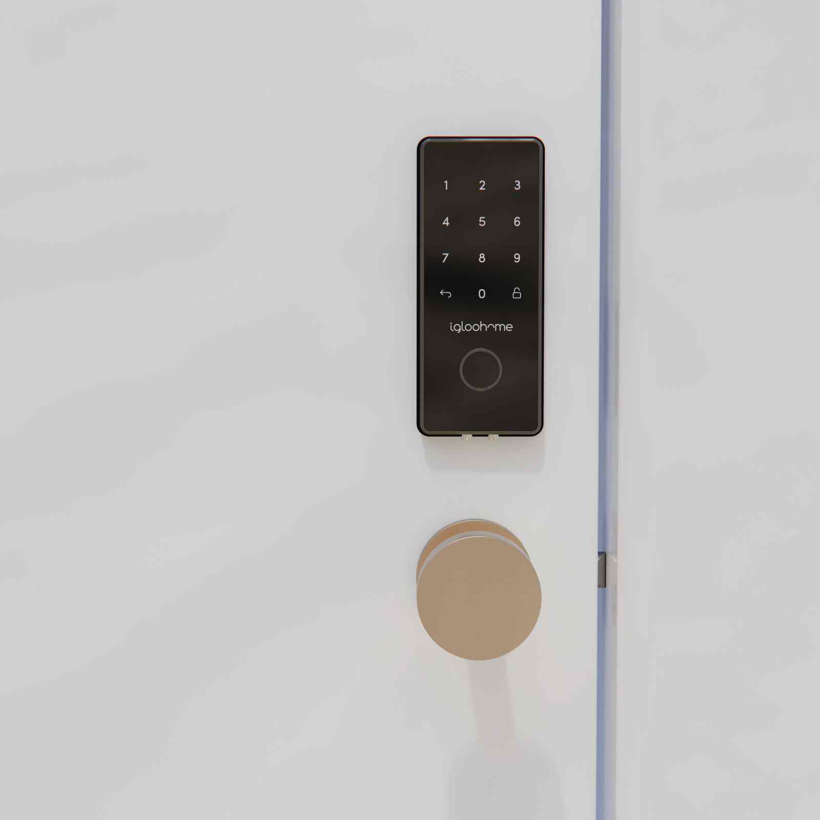 IGLOOHOME Gate & Door Combo 5 RM2F (GATE) + IGB4 (SMART DEADBOLT 2S)-image 14