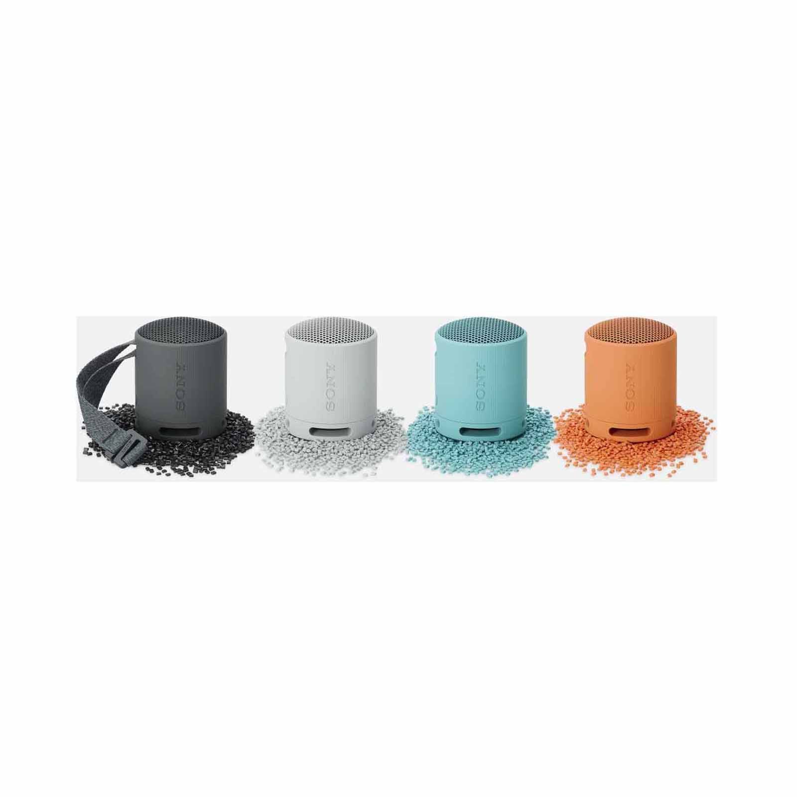 SONY Wireless Speaker (blue) SRS-XB100/LCE-image 3