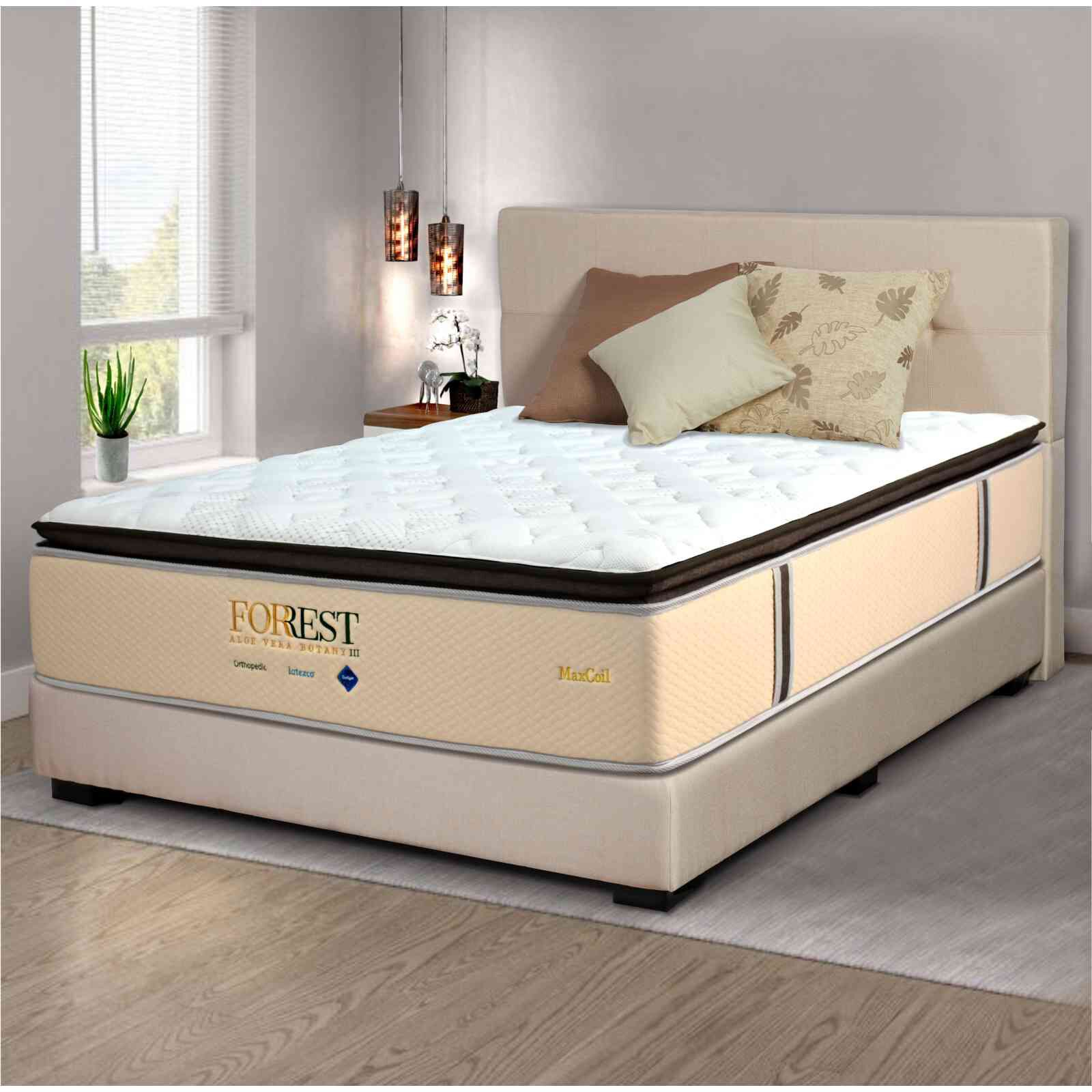 MAXCOIL King Size Mattress ALOE VERA BOTANY 3-image null