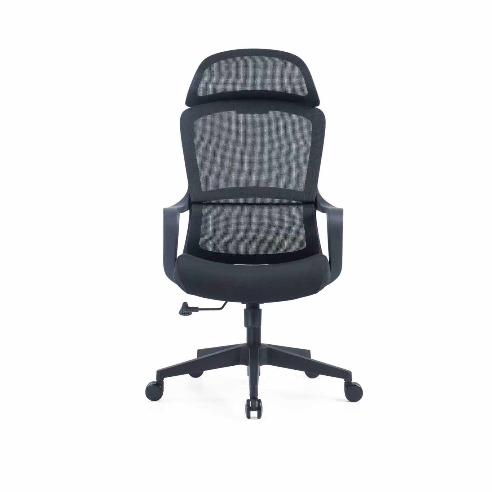 Ergonomic Office Chair CORSA MAX-image 1
