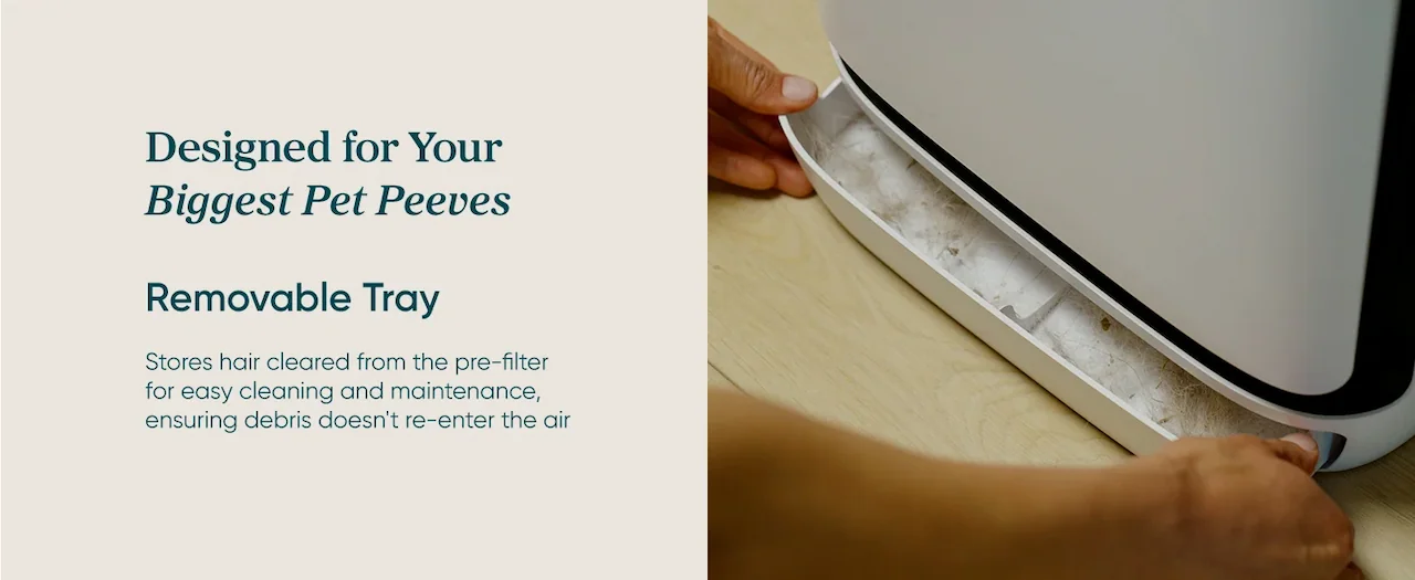 Removable Tray