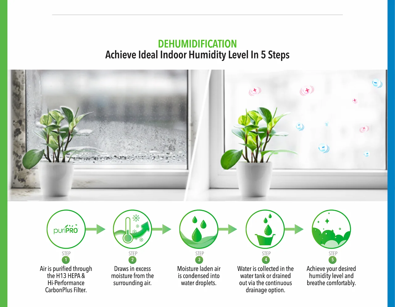 DEHUMIDIFICATION