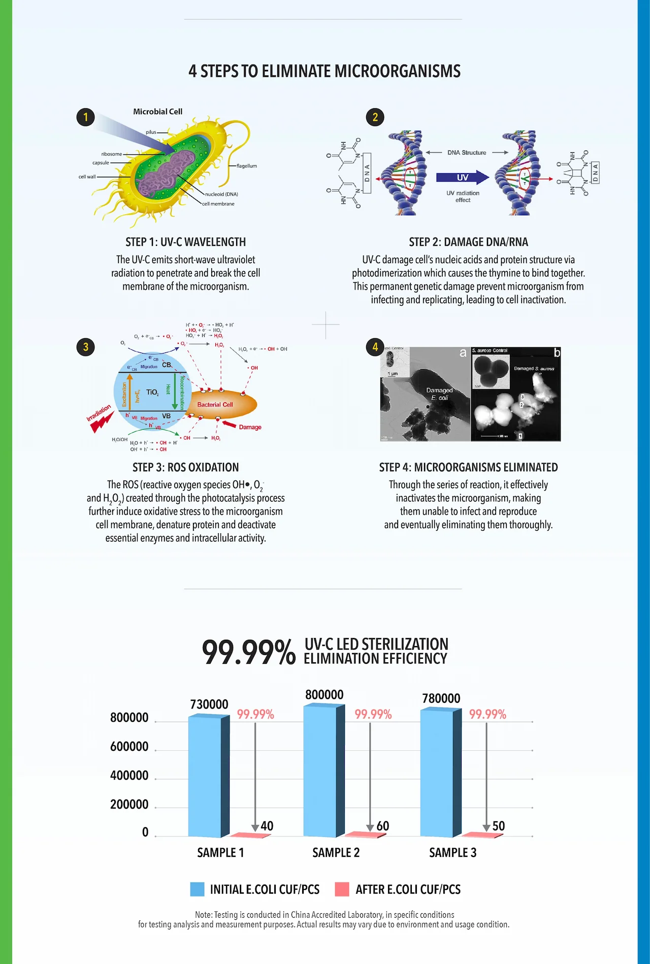 4 STEPS TO ELIMINATE MICROORGANISMS