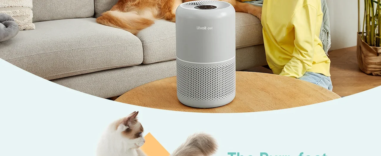 For a pet-friendly, odor-free home