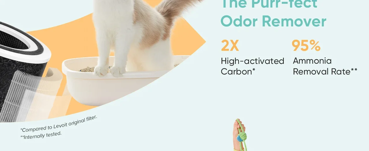 The Purr-fect Odor Remover