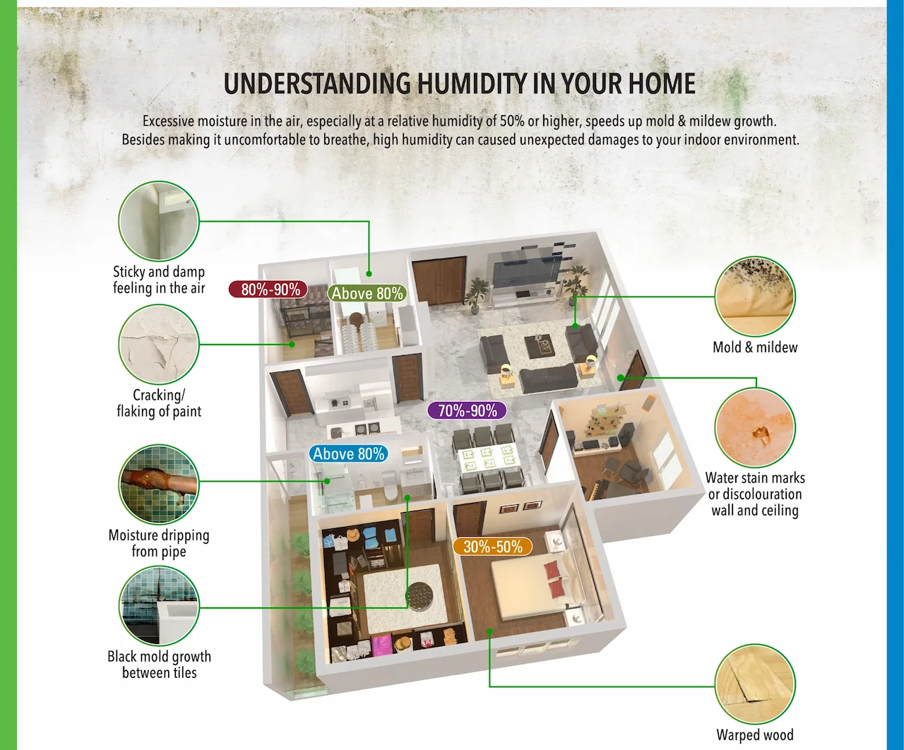 UNDERSTANDING HUMIDITY IN YOUR HOME