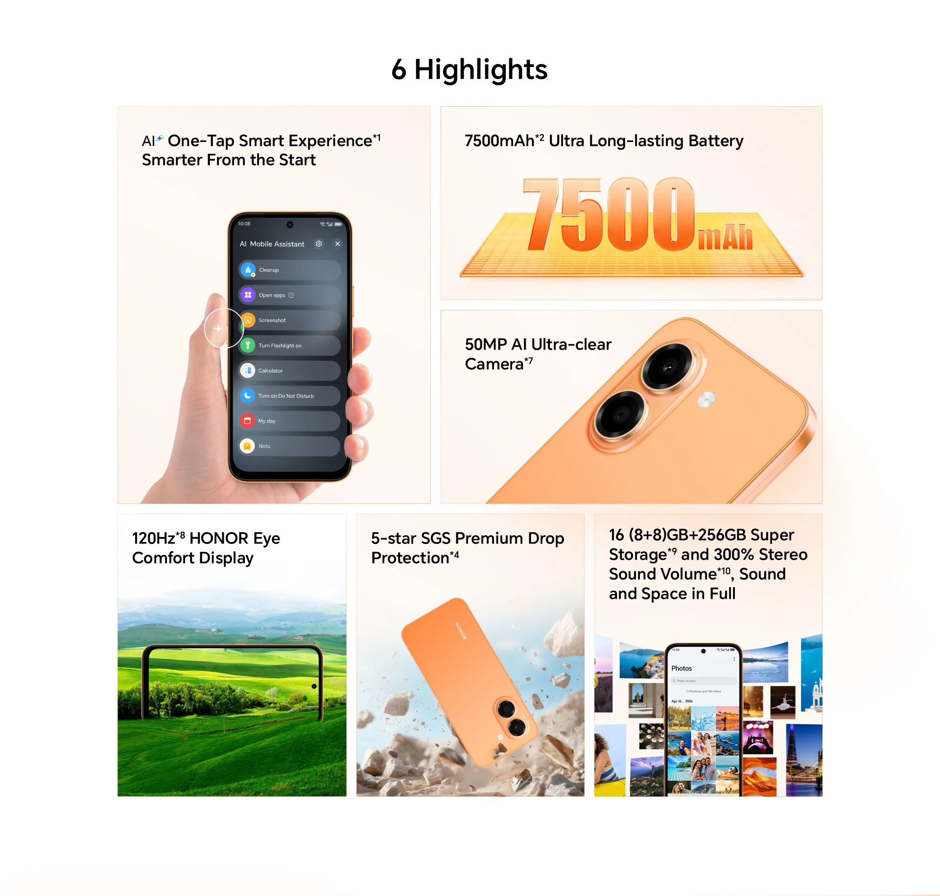 6 Highlights