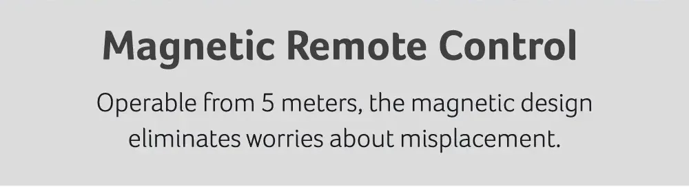 Magnetic Remote Control