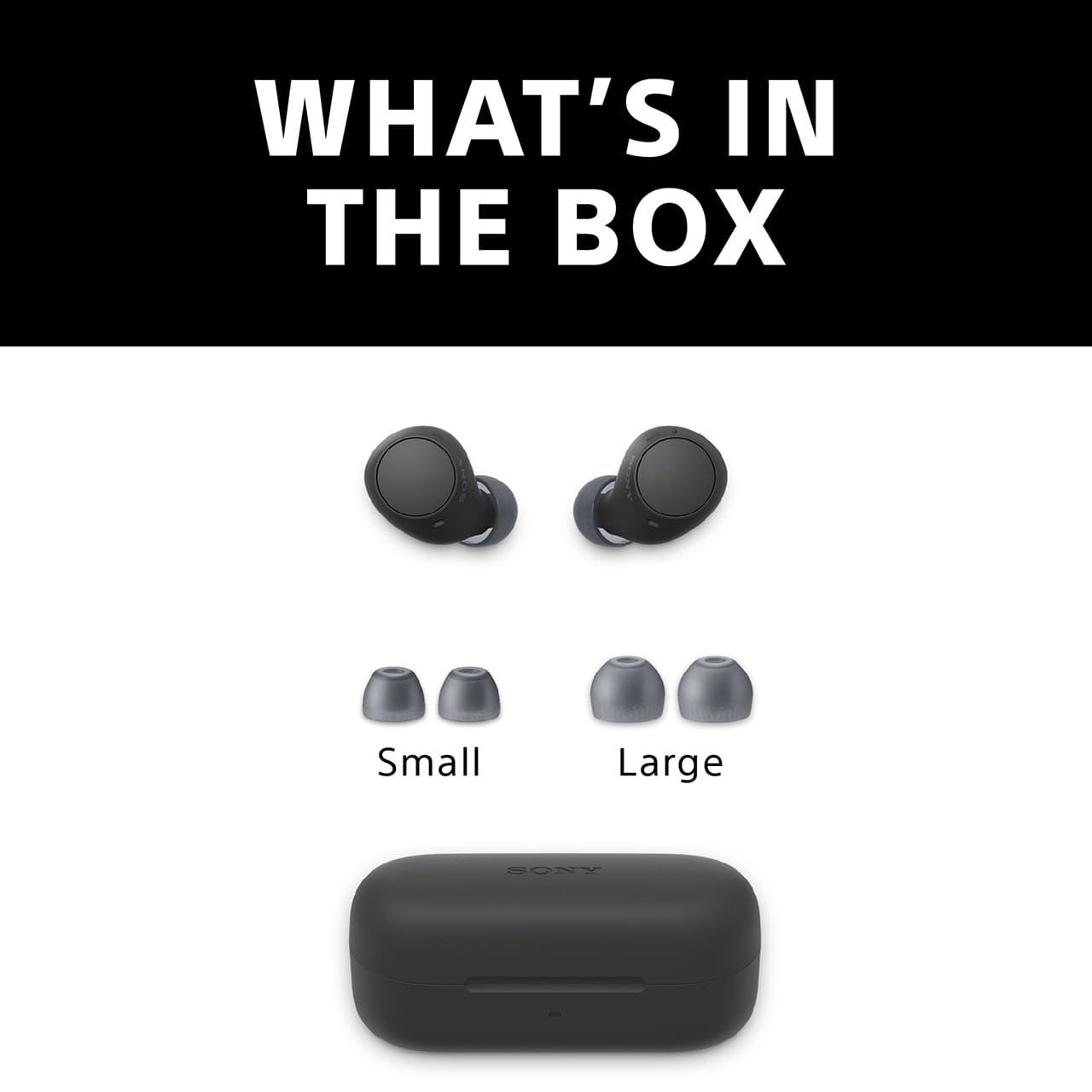 What's in the box