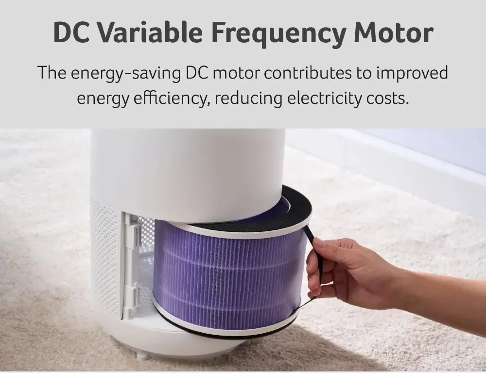 DC Variable Frequency Motor